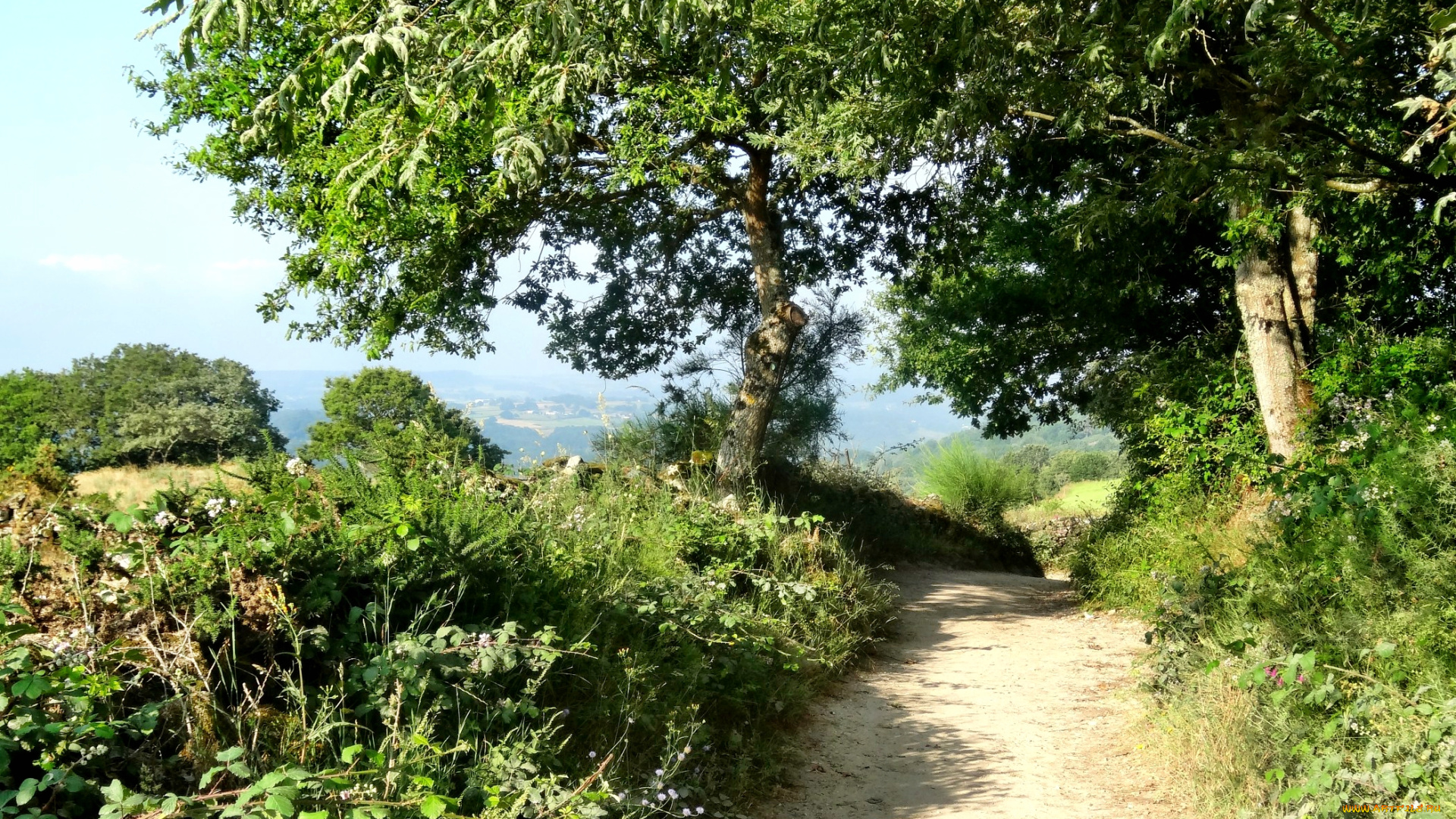 природа, дороги, дорога, трава, деревья