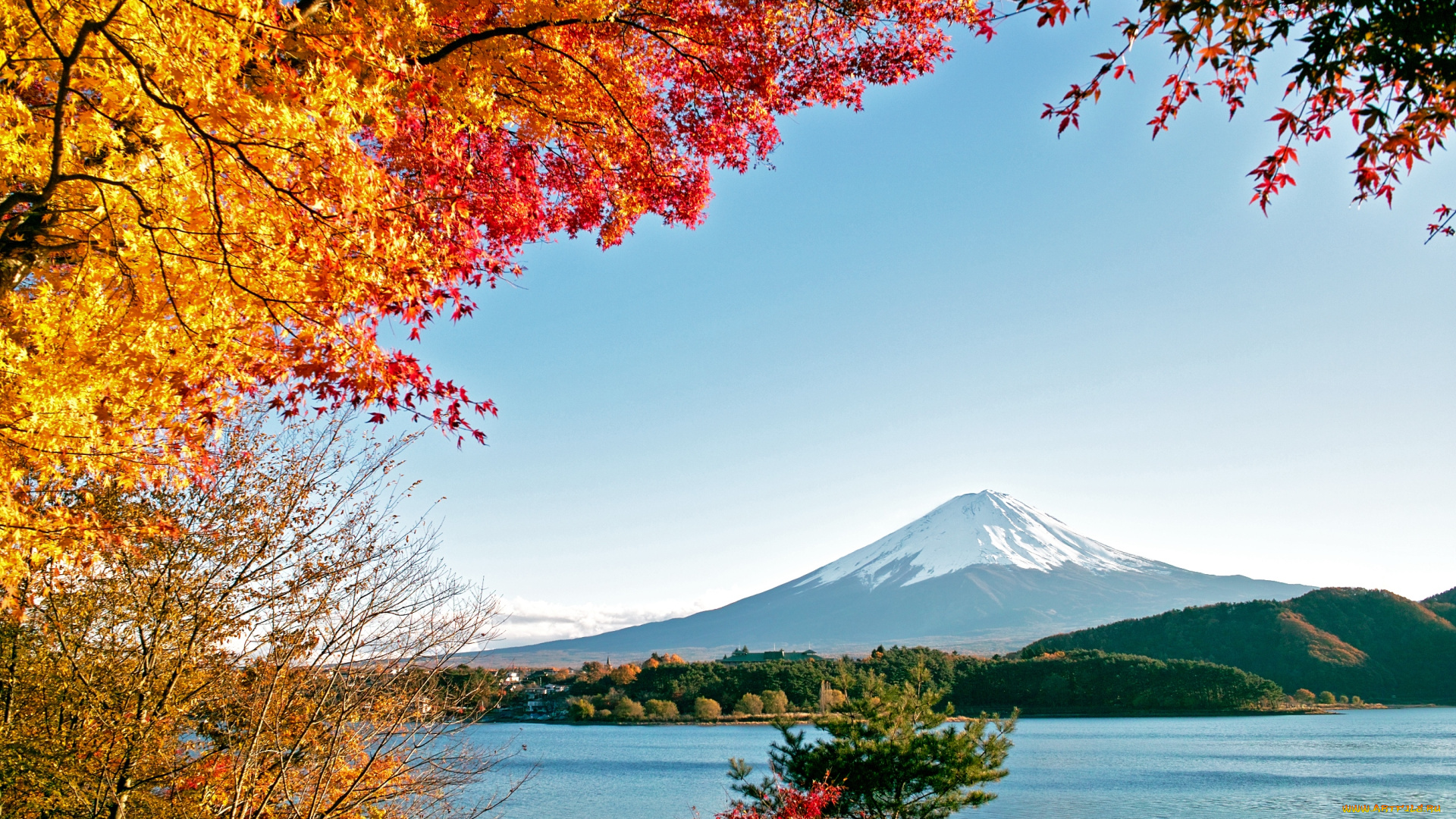 природа, горы, фудзияма, осень
