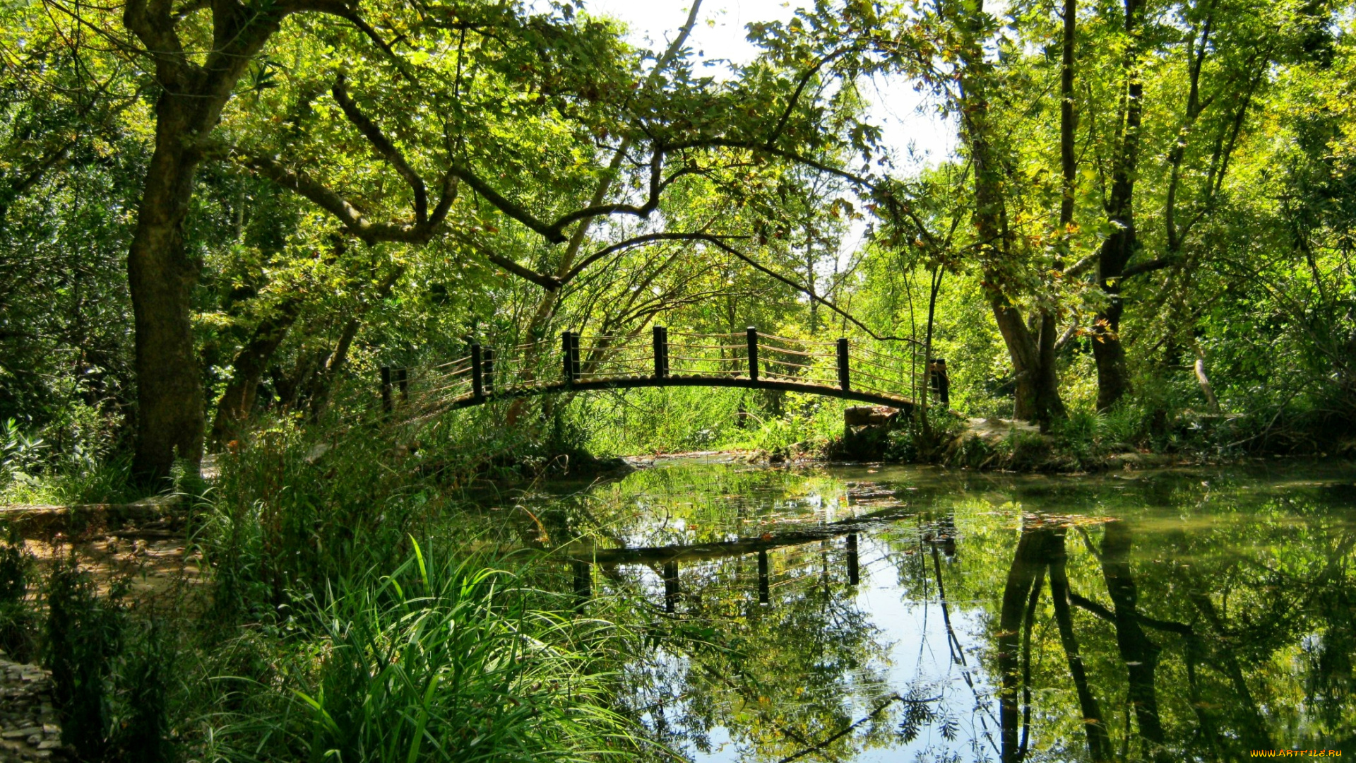 природа, реки, озера, река, лес, мостик, трава, лето, зелень