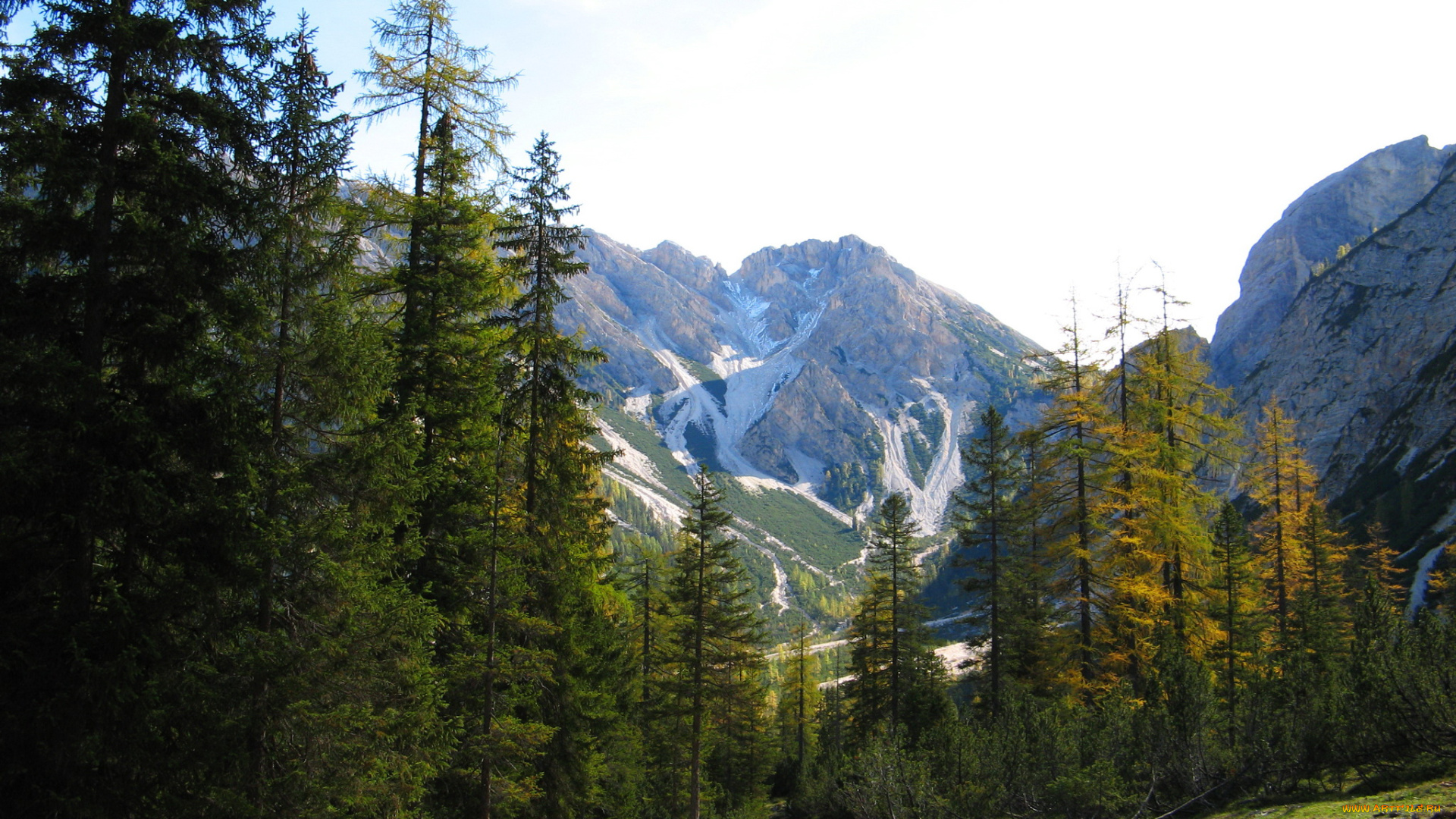 south, tyrol, italy, природа, горы, лес