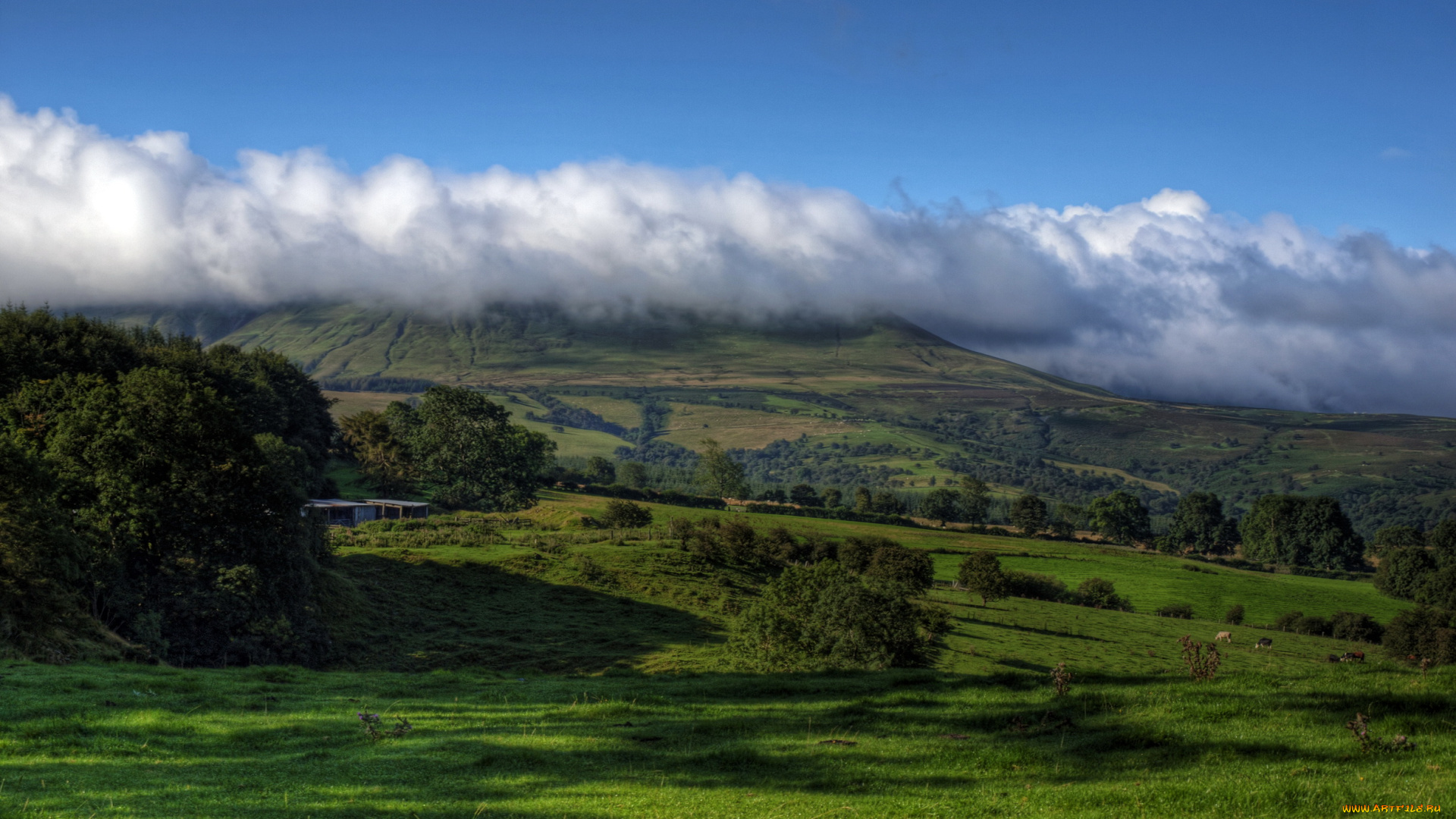 уэльс, природа, луга, поля, дымка