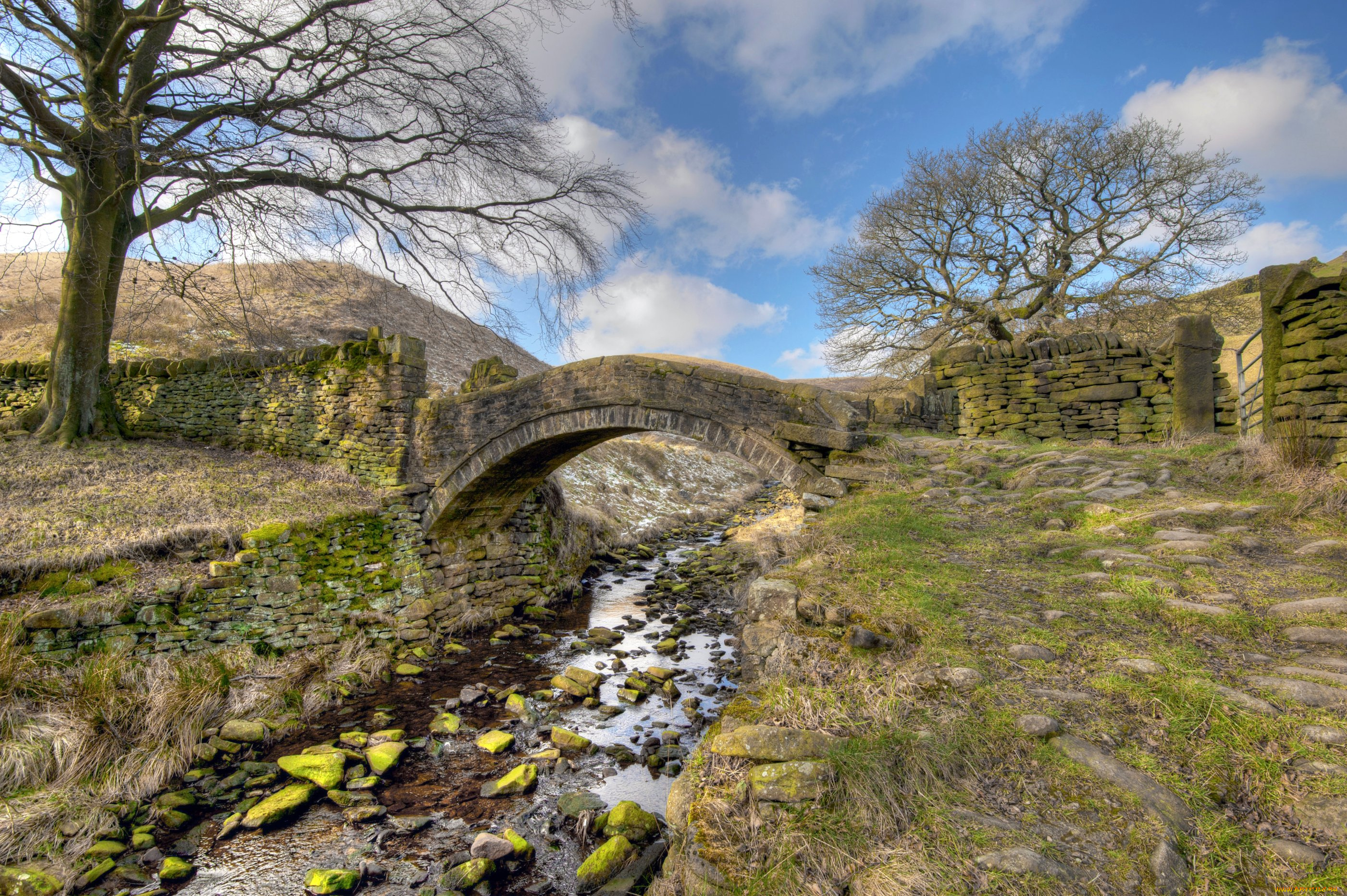 природа, реки, озера, ручей, овраг, поле, деревья, трава, мостик
