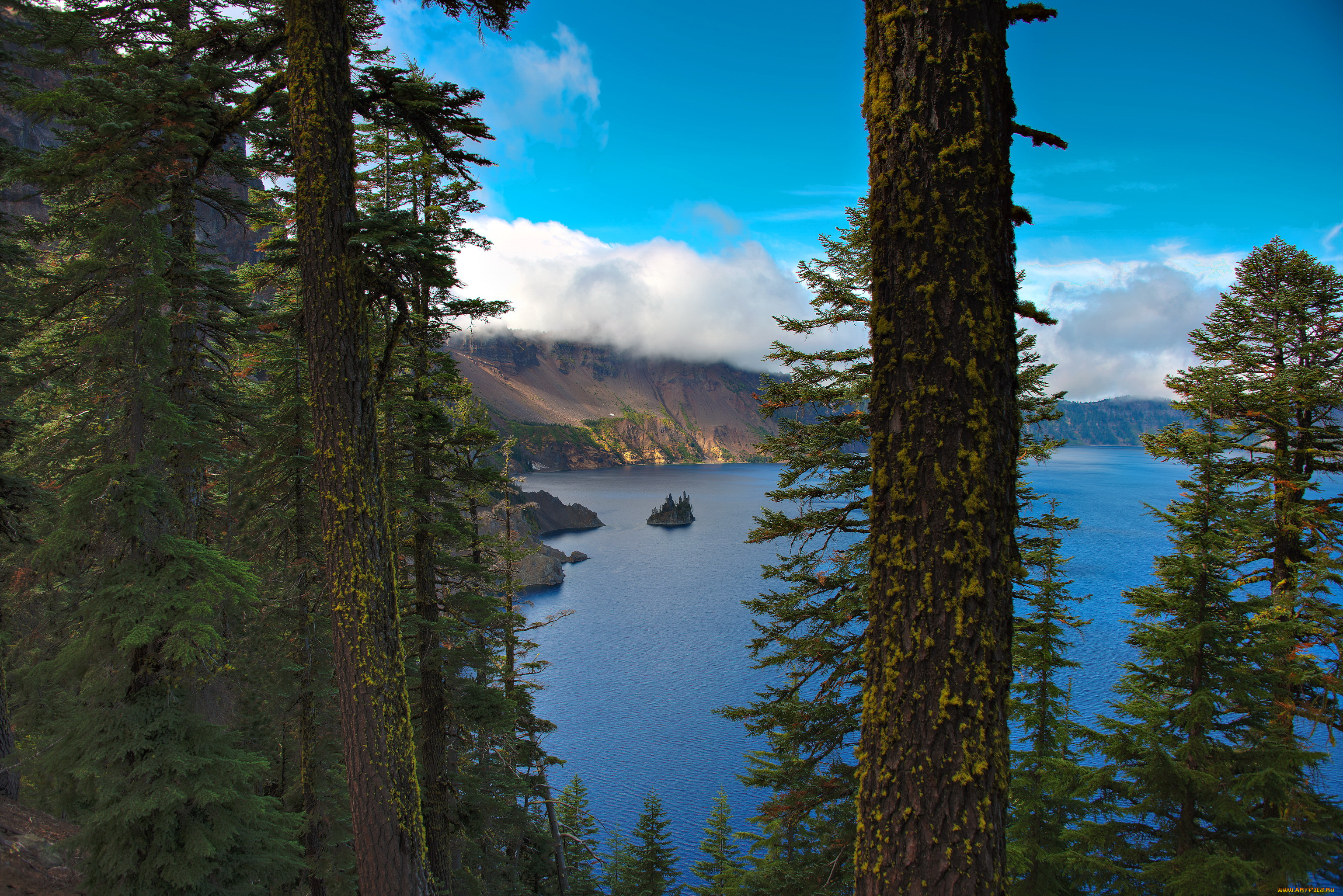 crater, lake, national, park, сша, природа, реки, озера, парк, озеро, деревья