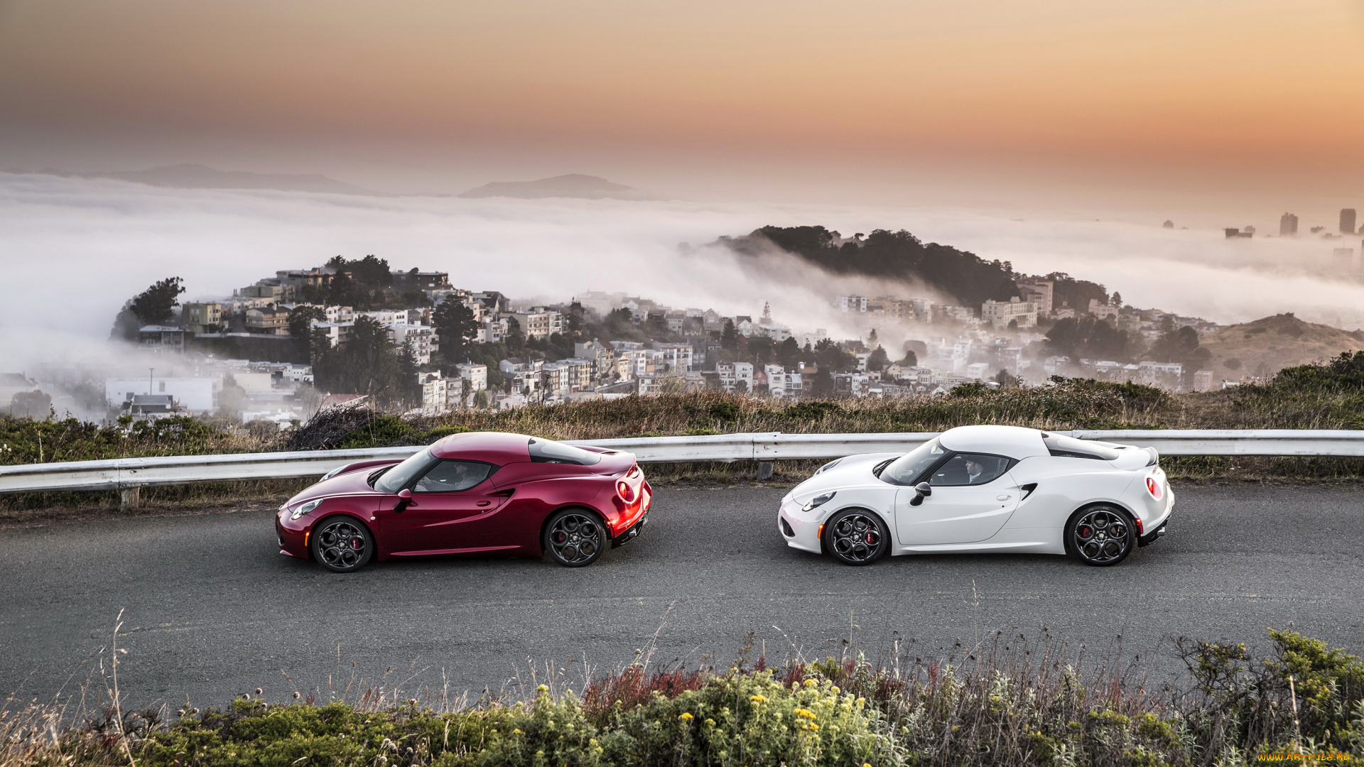 2015, alfa, romeo, 4c, автомобили, alfa, romeo, красный, два, alfa, romeo, металлик, белый