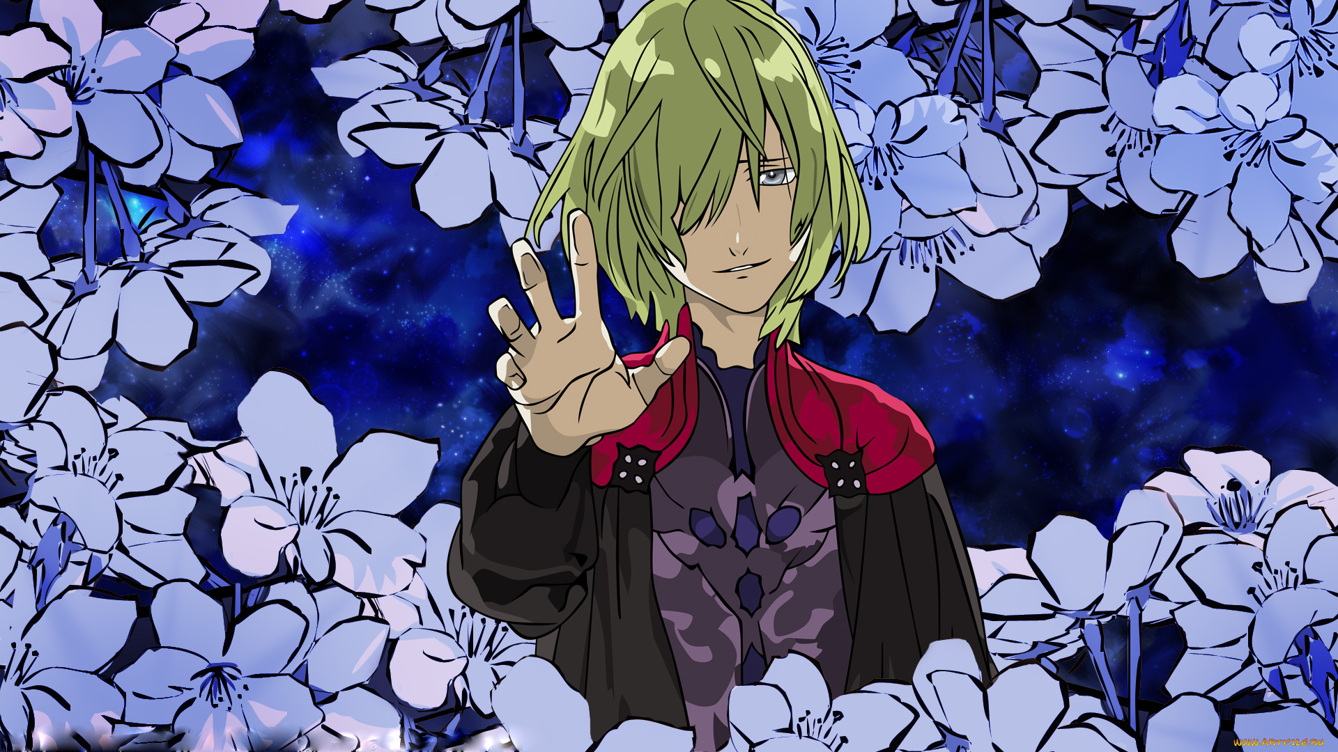 аниме, aquarion, evol, цветы, парень, арт