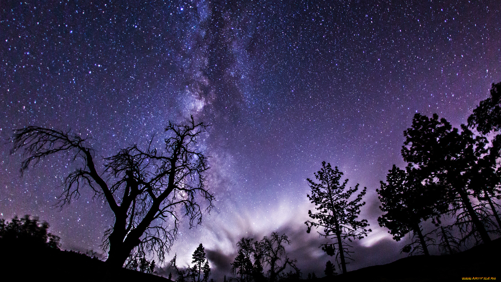 космос, галактики, туманности, тени, деревья, млечный, путь, ночь, звезды