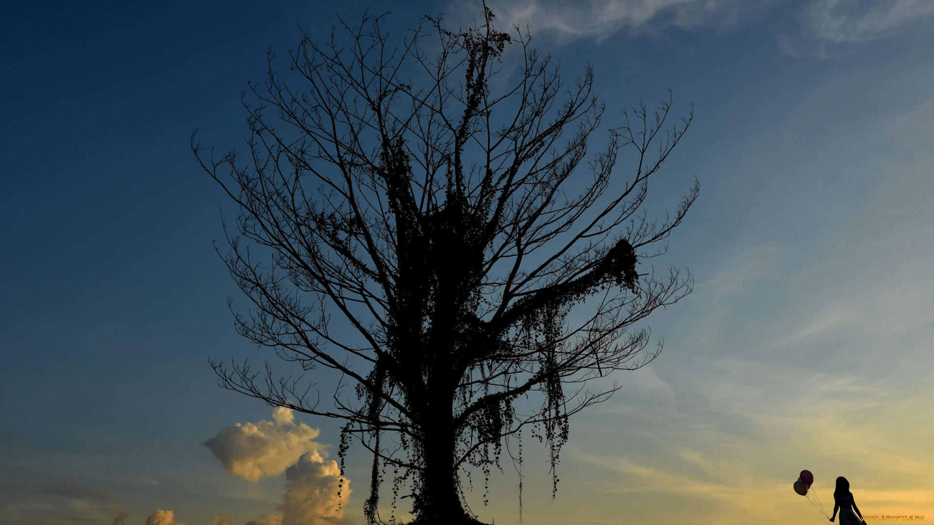 природа, деревья, дерево, шарики, девушка, небо, силуэт