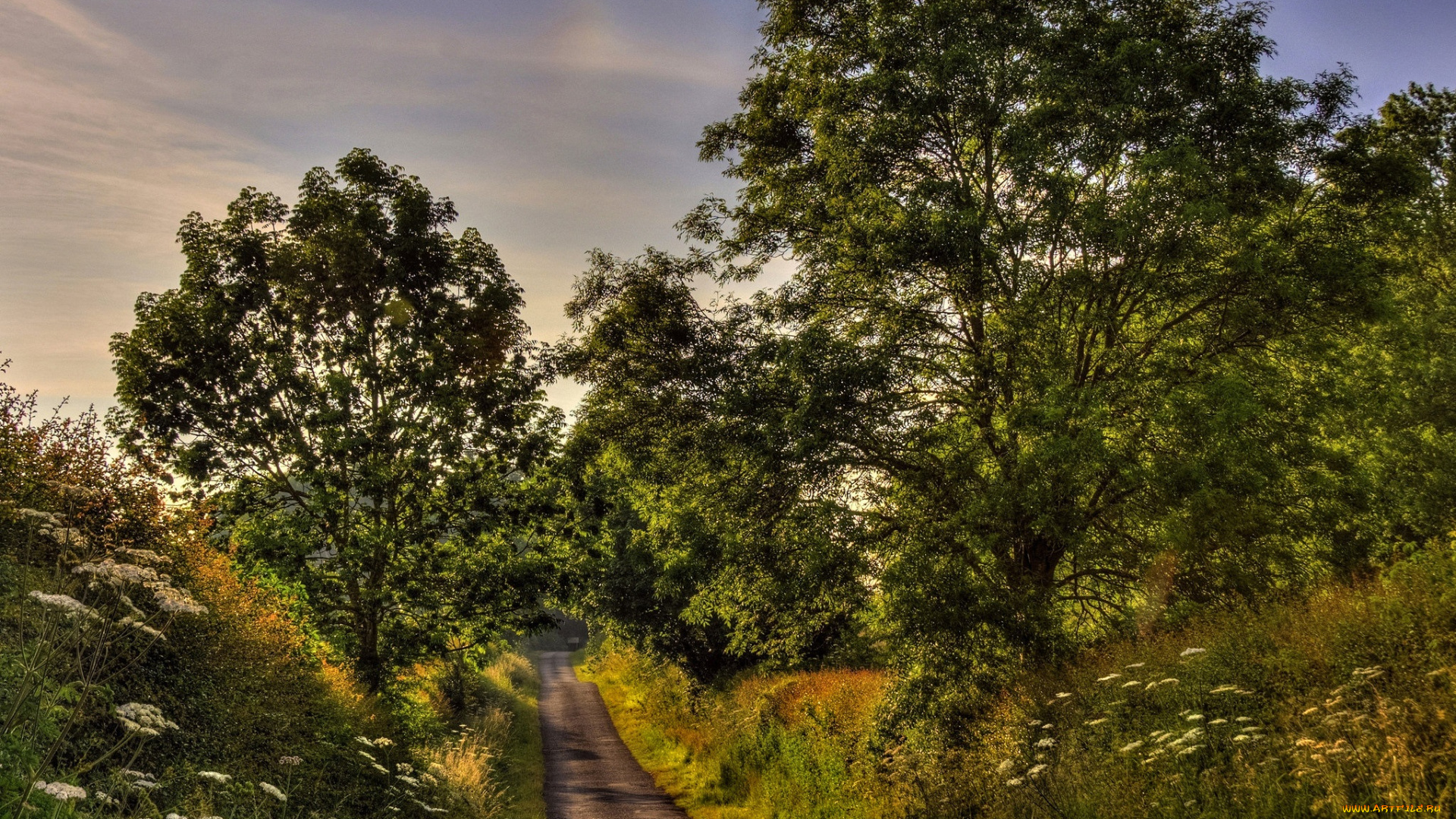 природа, дороги, дорога, лес