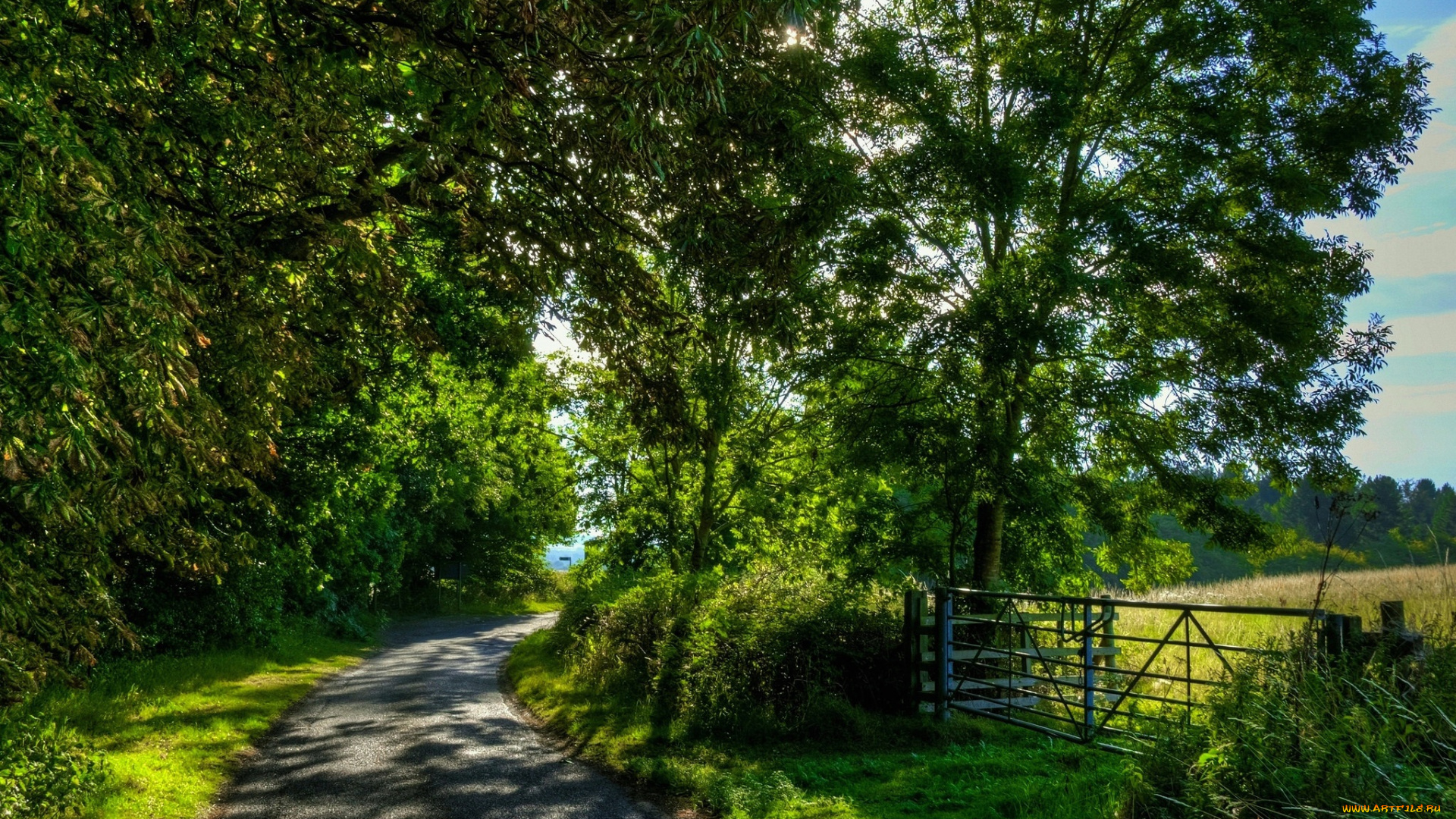 природа, дороги, лес, дорога