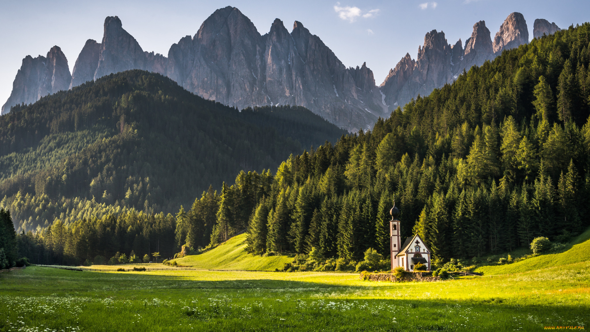 природа, горы, ели, лес