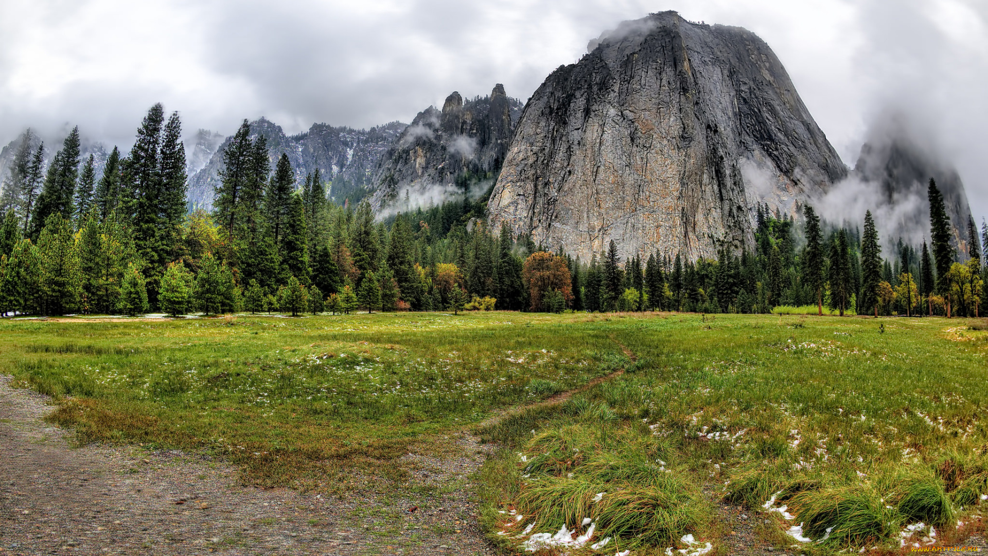 природа, горы, гора, лес