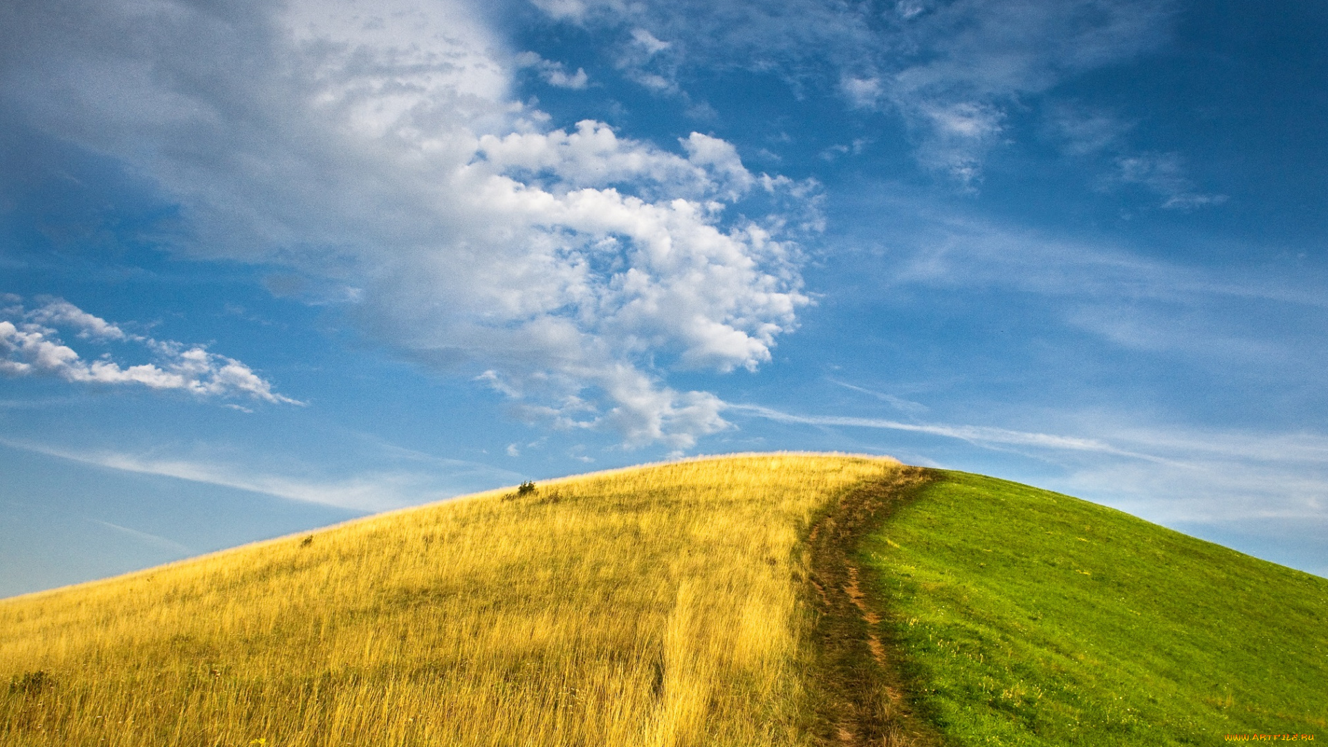 природа, луга, холм