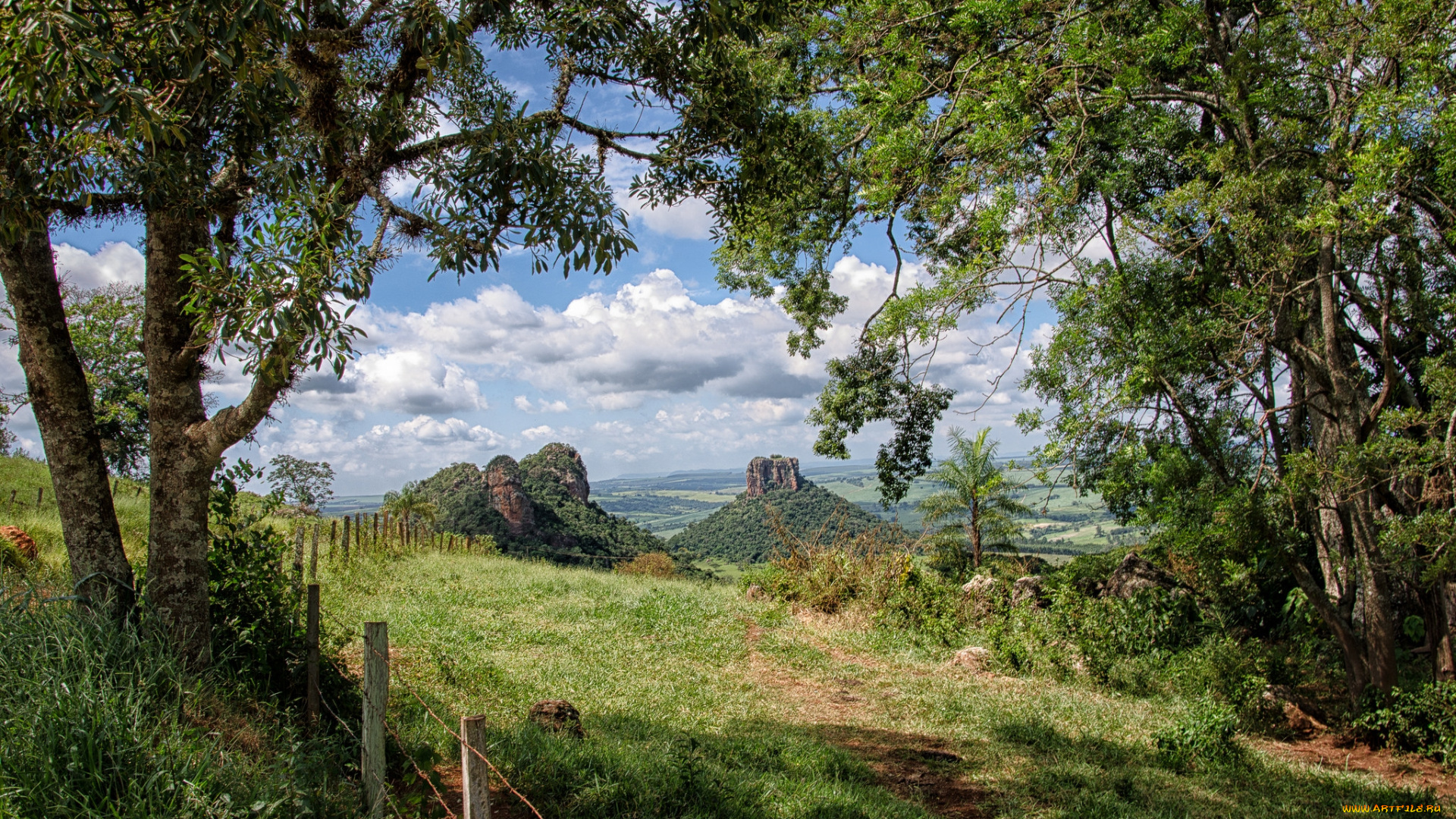 природа, пейзажи, холмы, тропа, лес