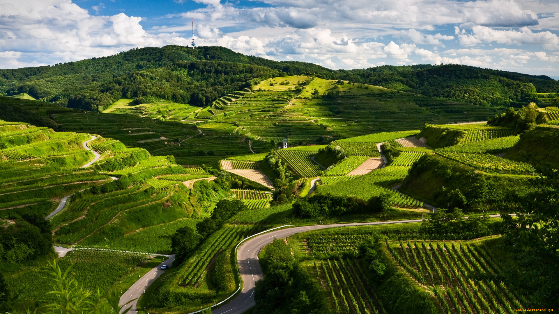 природа, поля, пейзаж