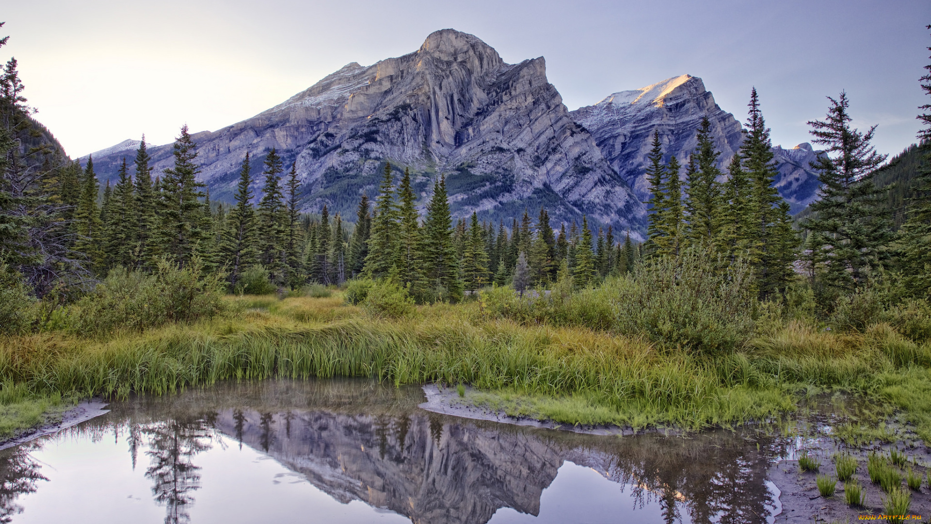 природа, реки, озера, горы, лес, река