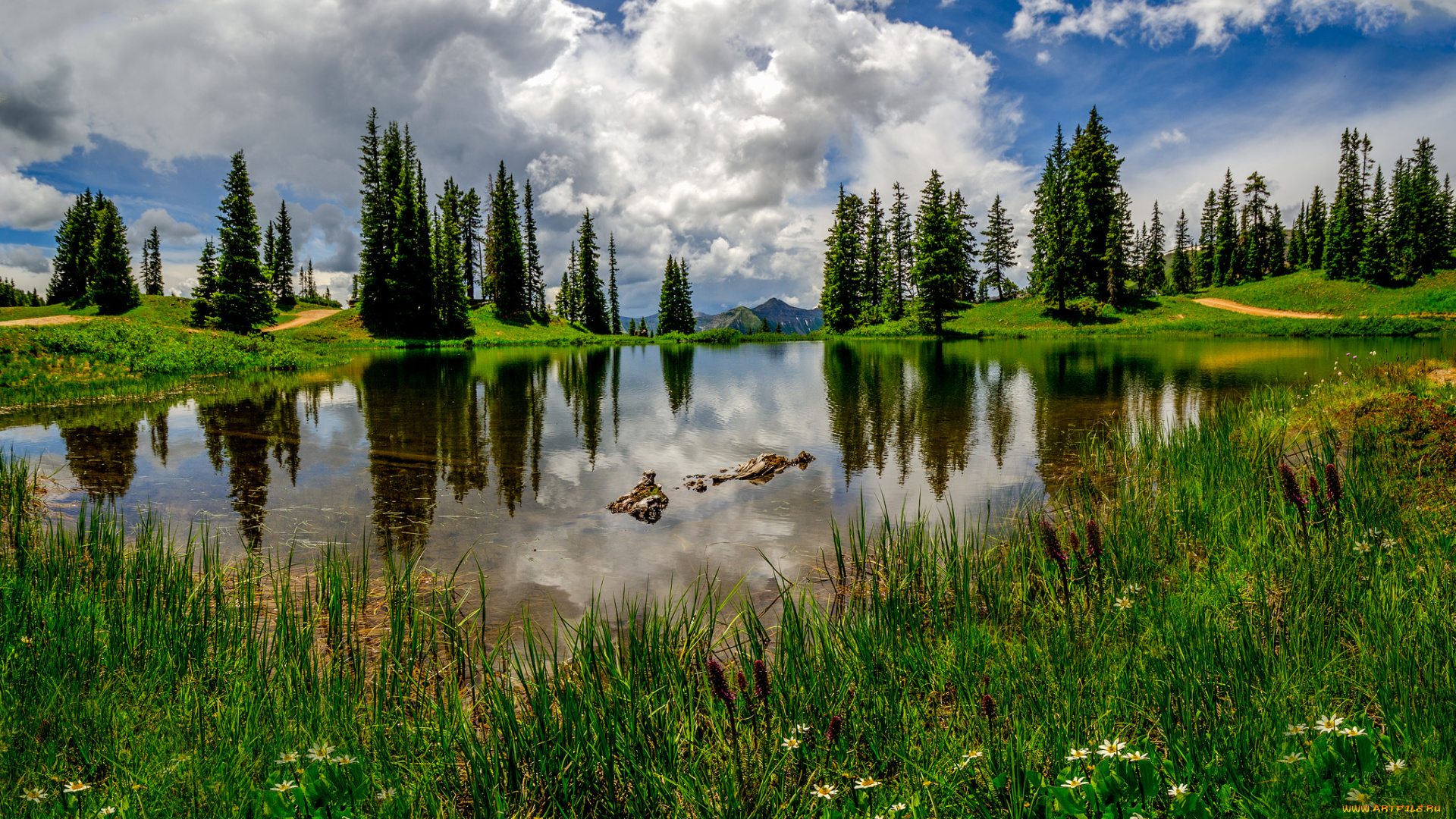 природа, реки, озера, лес, озеро