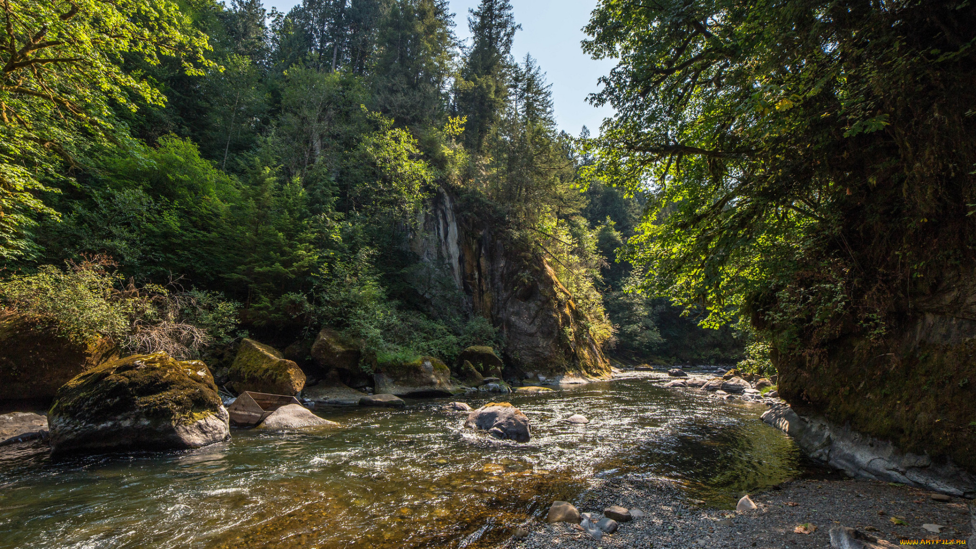 природа, реки, озера, лес, река