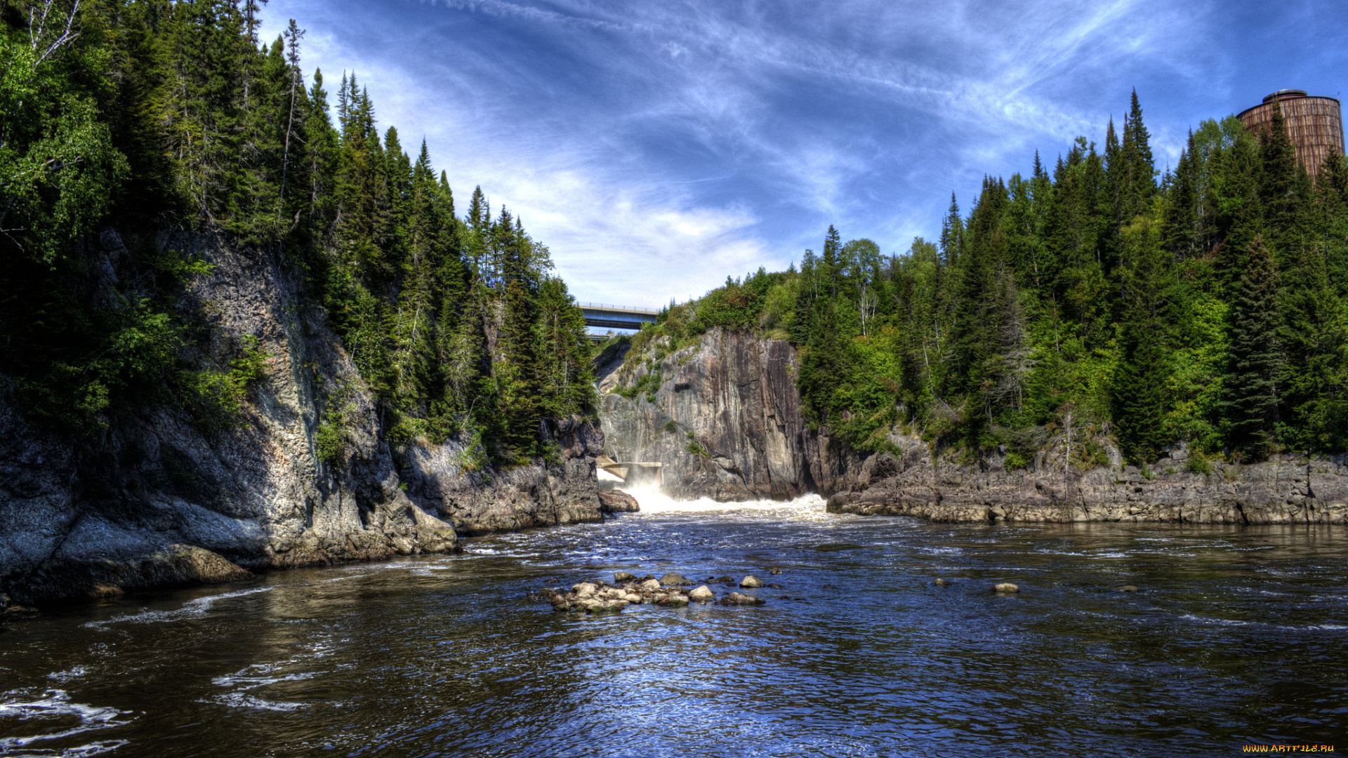 природа, реки, озера, лес, река