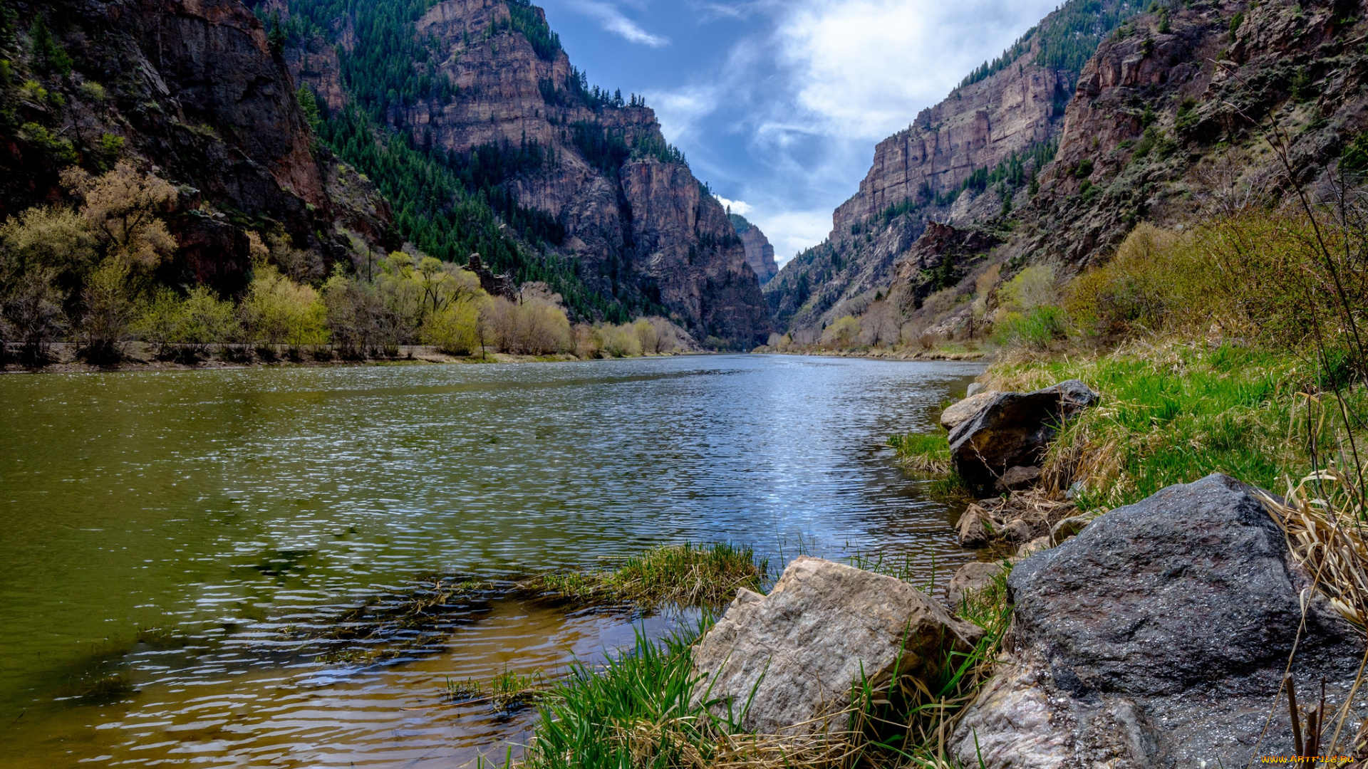 природа, реки, озера, лес, река