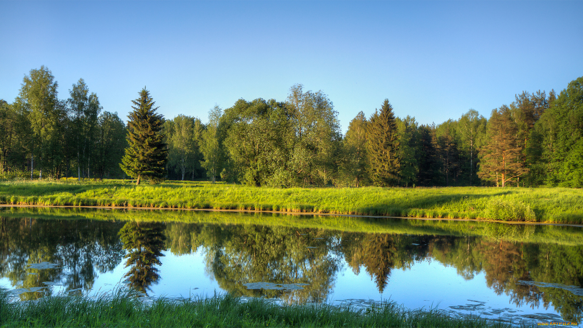 природа, реки, озера, лес, река