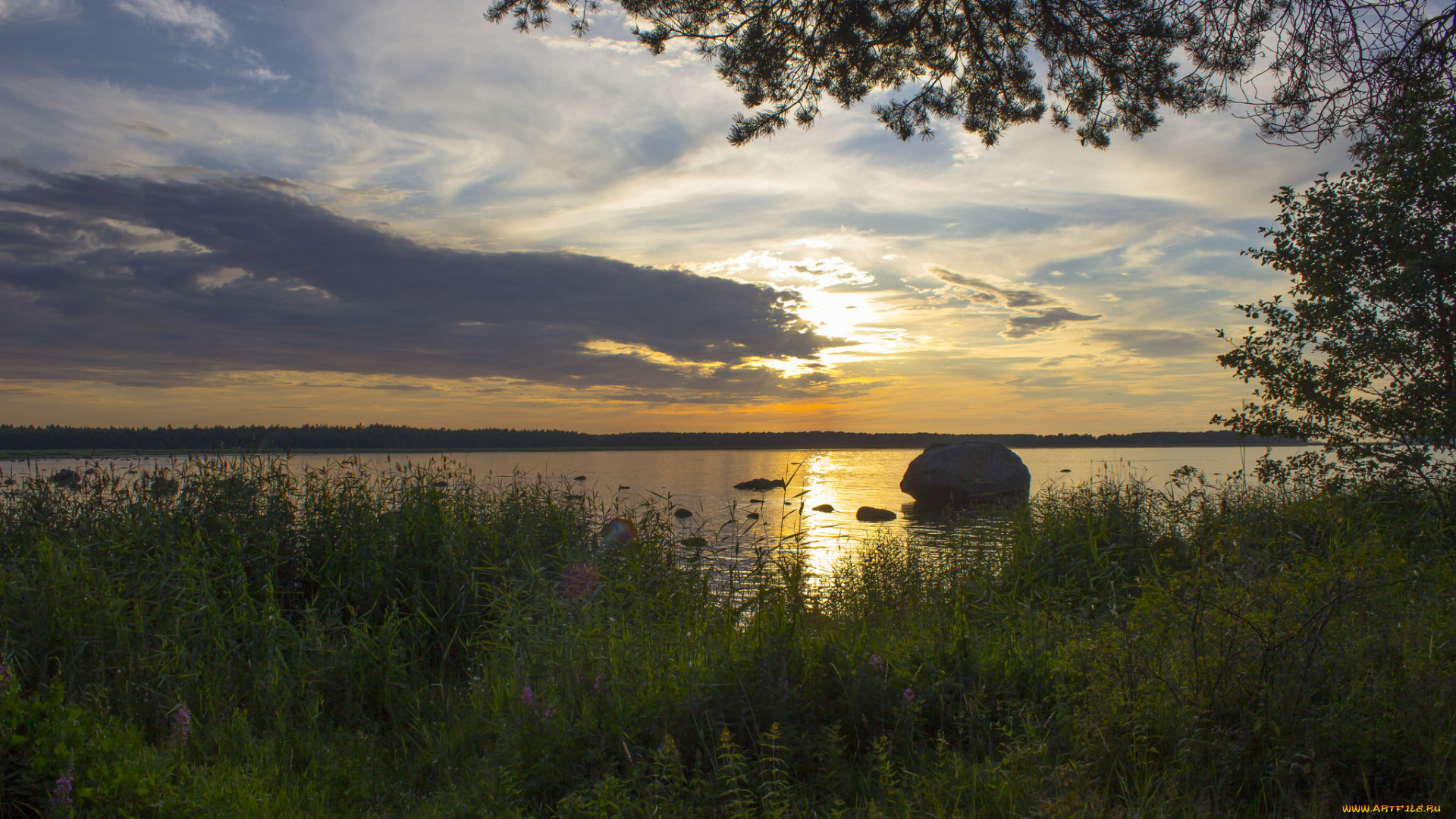 природа, реки, озера, лес, река