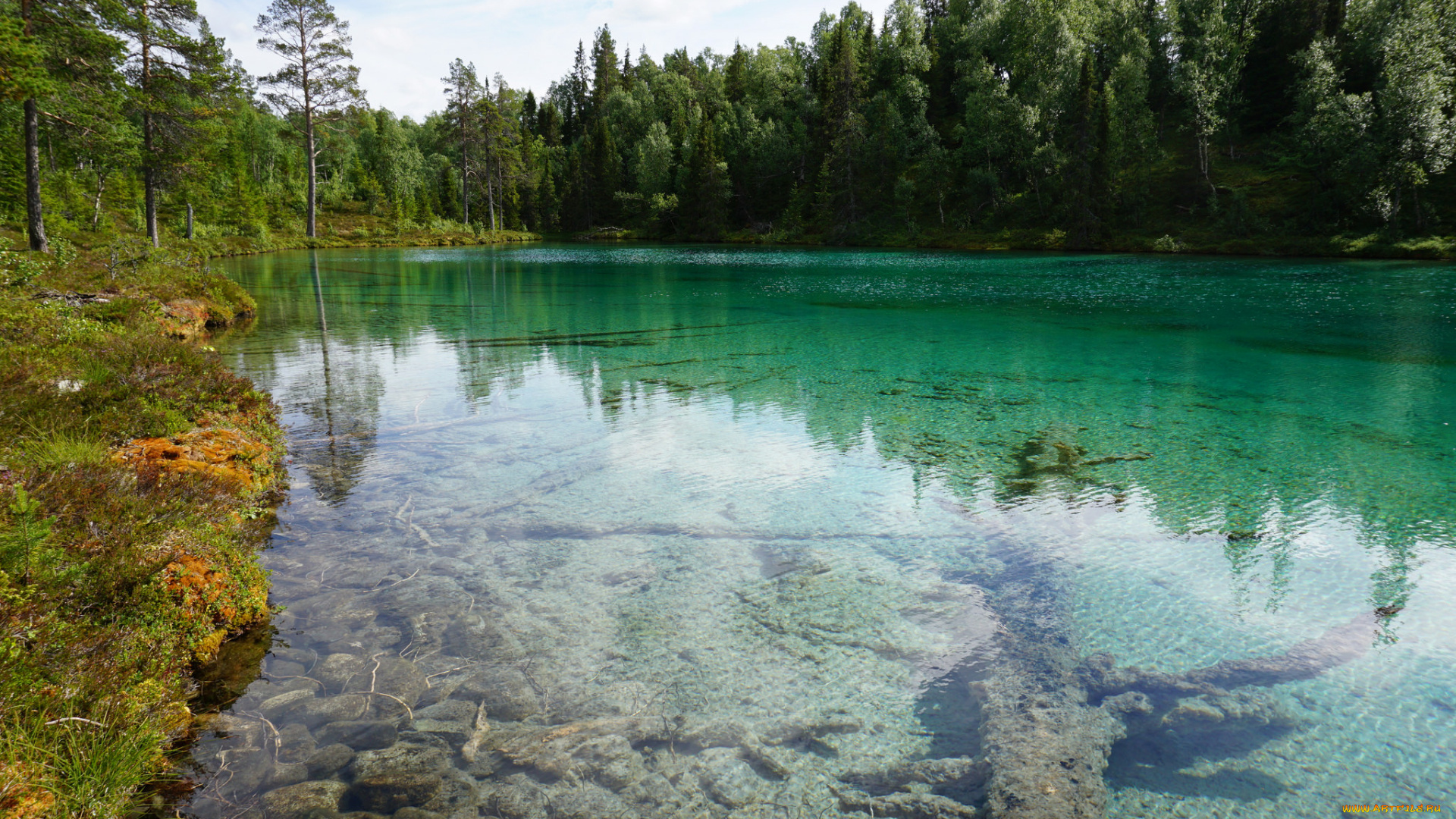 природа, реки, озера, лес, река