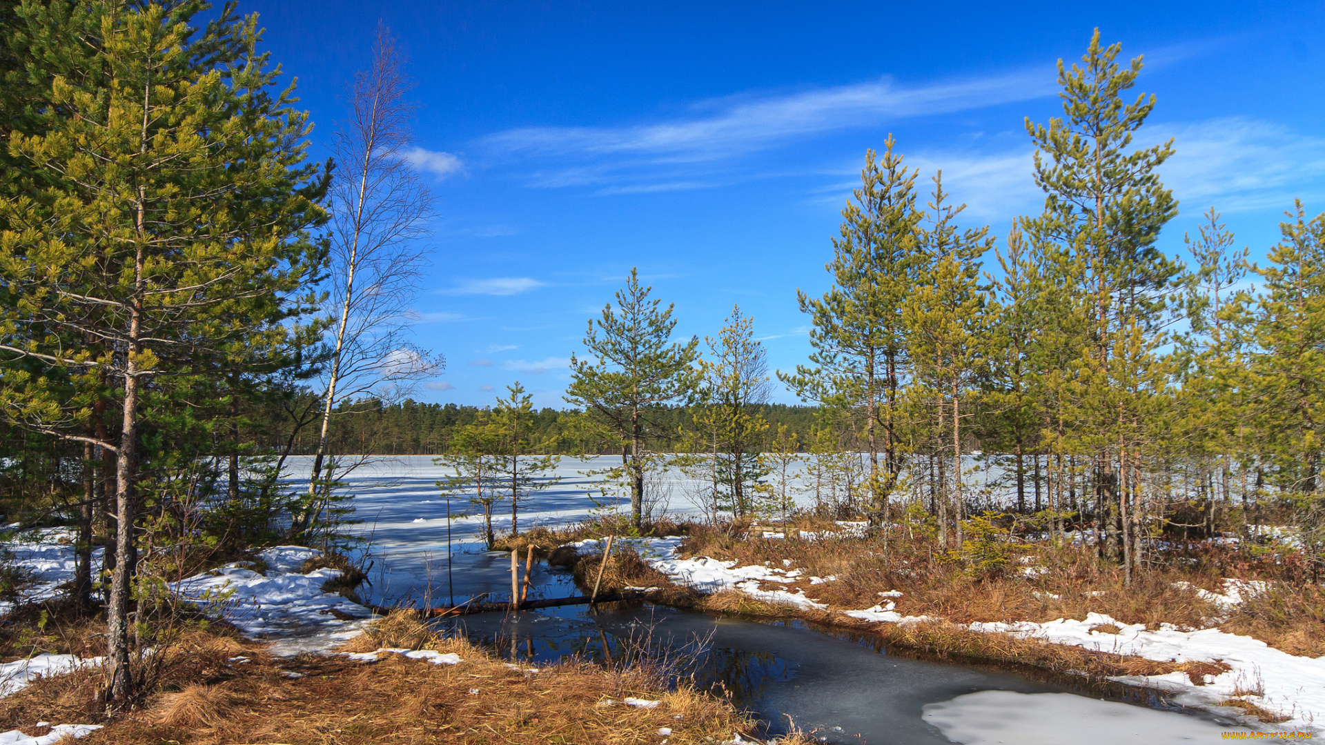 природа, реки, озера, лес, река