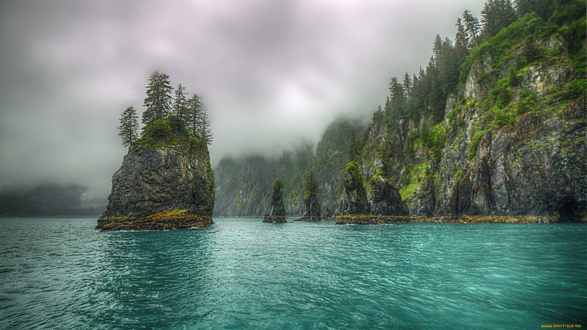 природа, реки, озера, лес, река