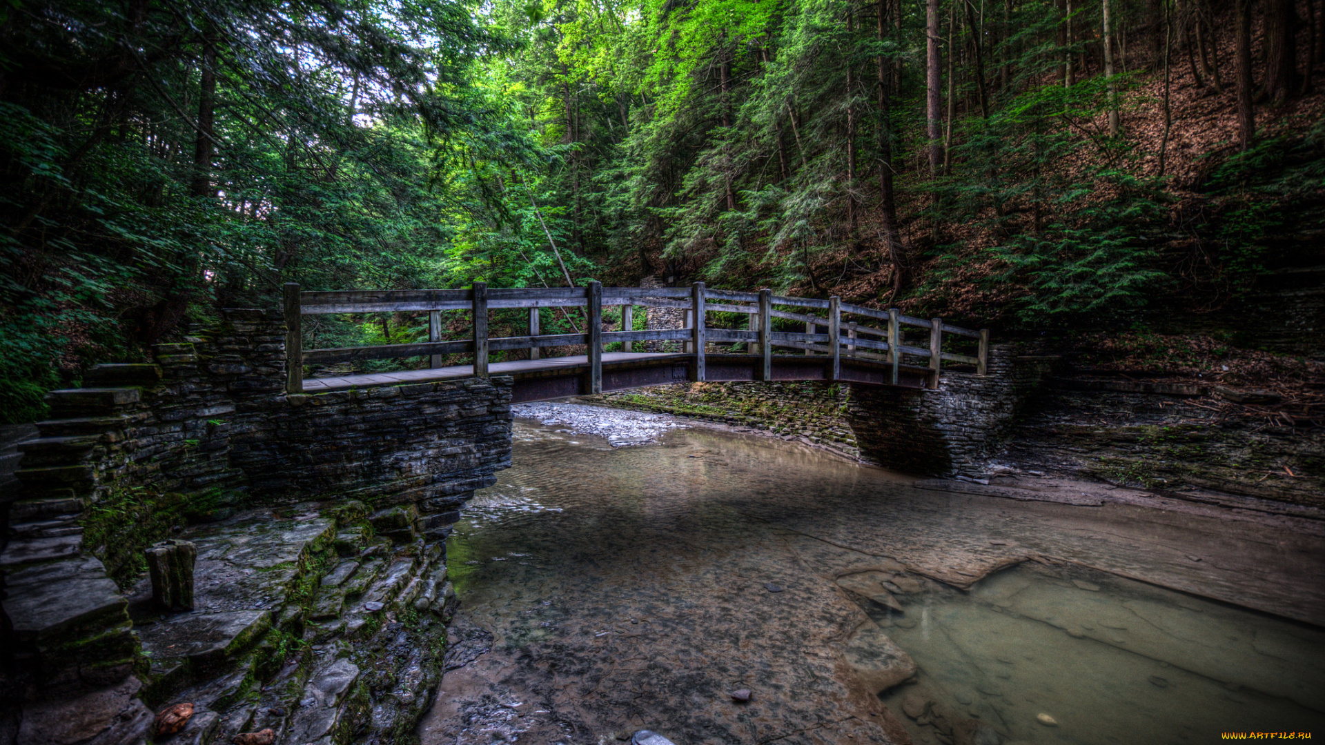 природа, реки, озера, мостик, лес, река