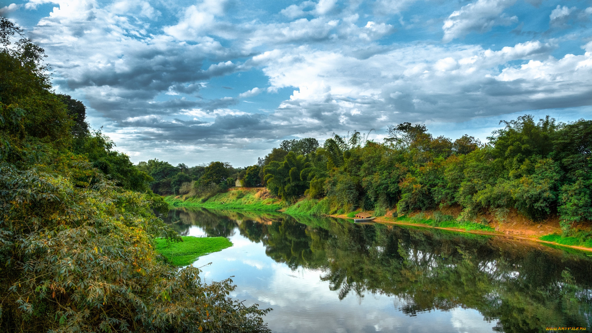 природа, реки, озера, река, лес