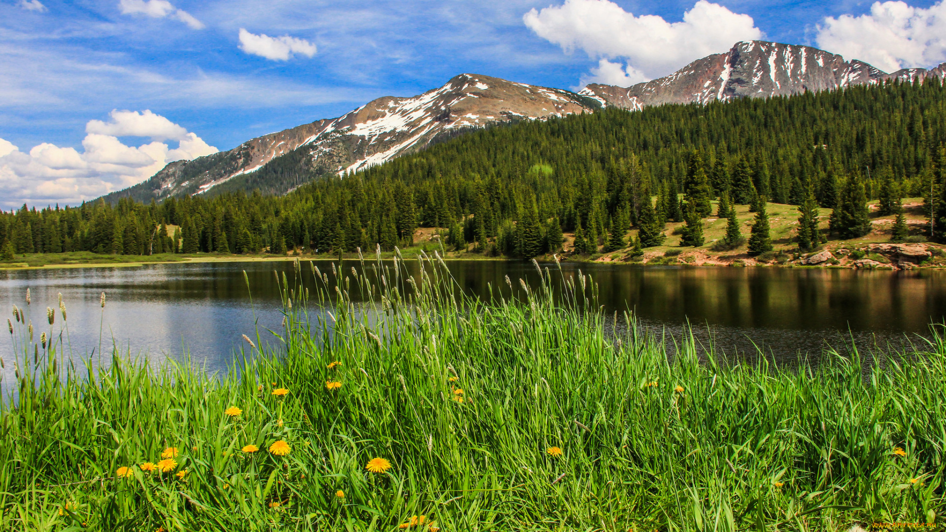 природа, реки, озера, река, лес