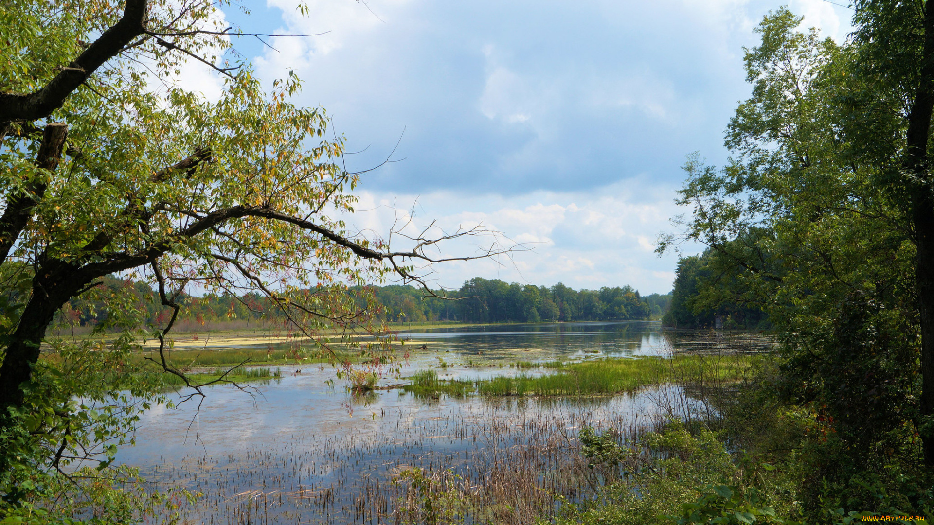 природа, реки, озера, река, лес