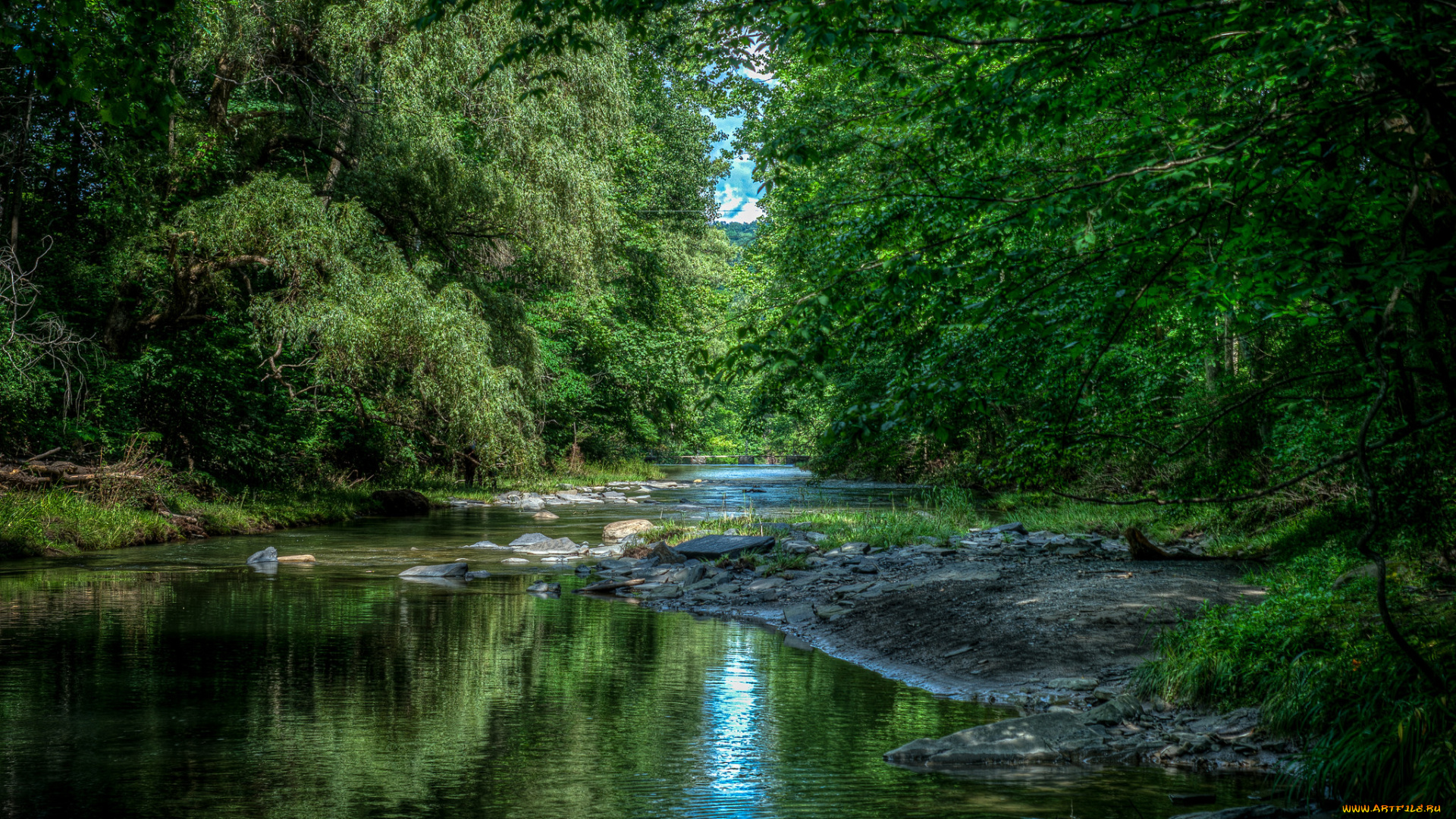природа, реки, озера, река, лес