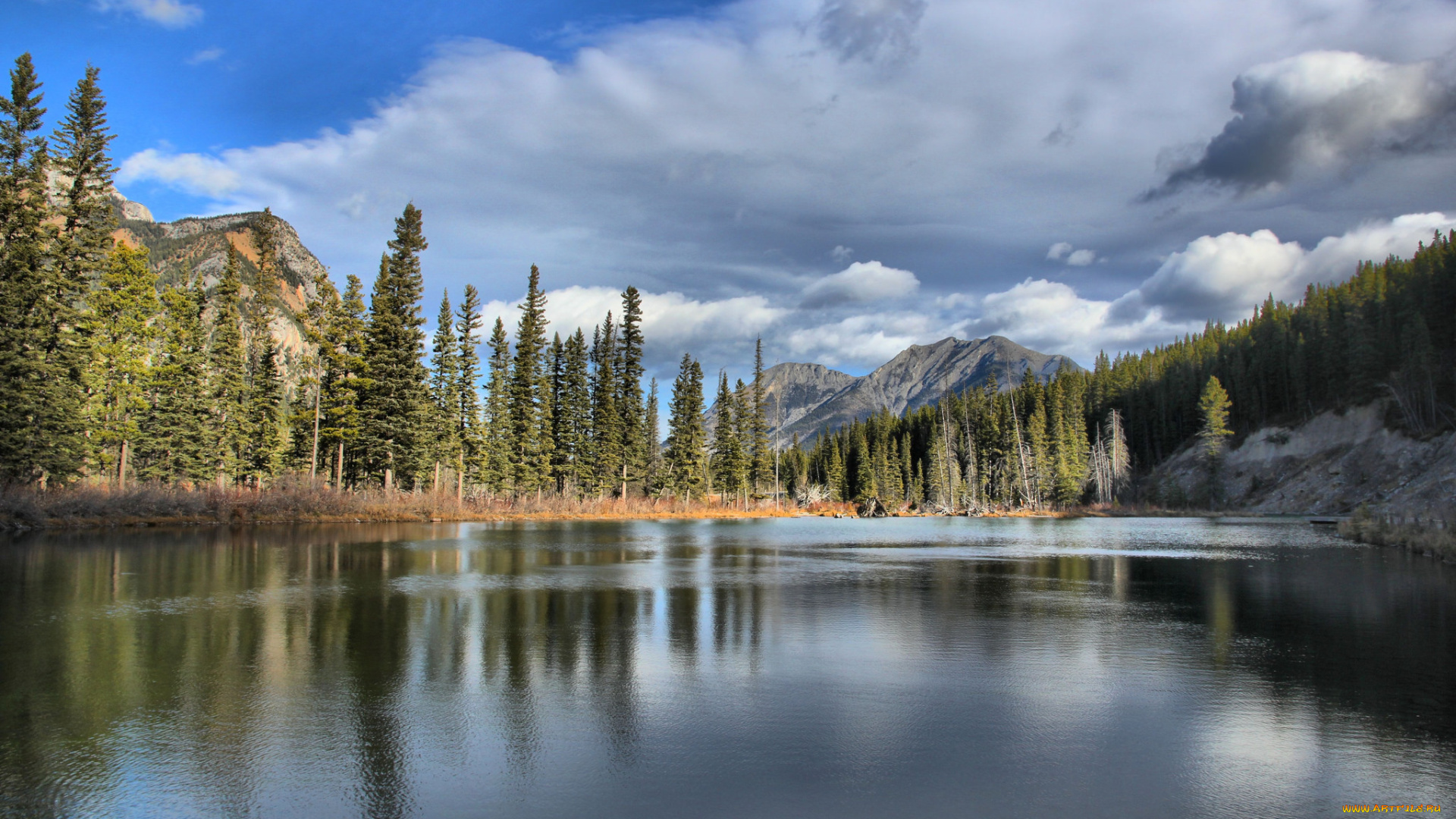 природа, реки, озера, река, лес