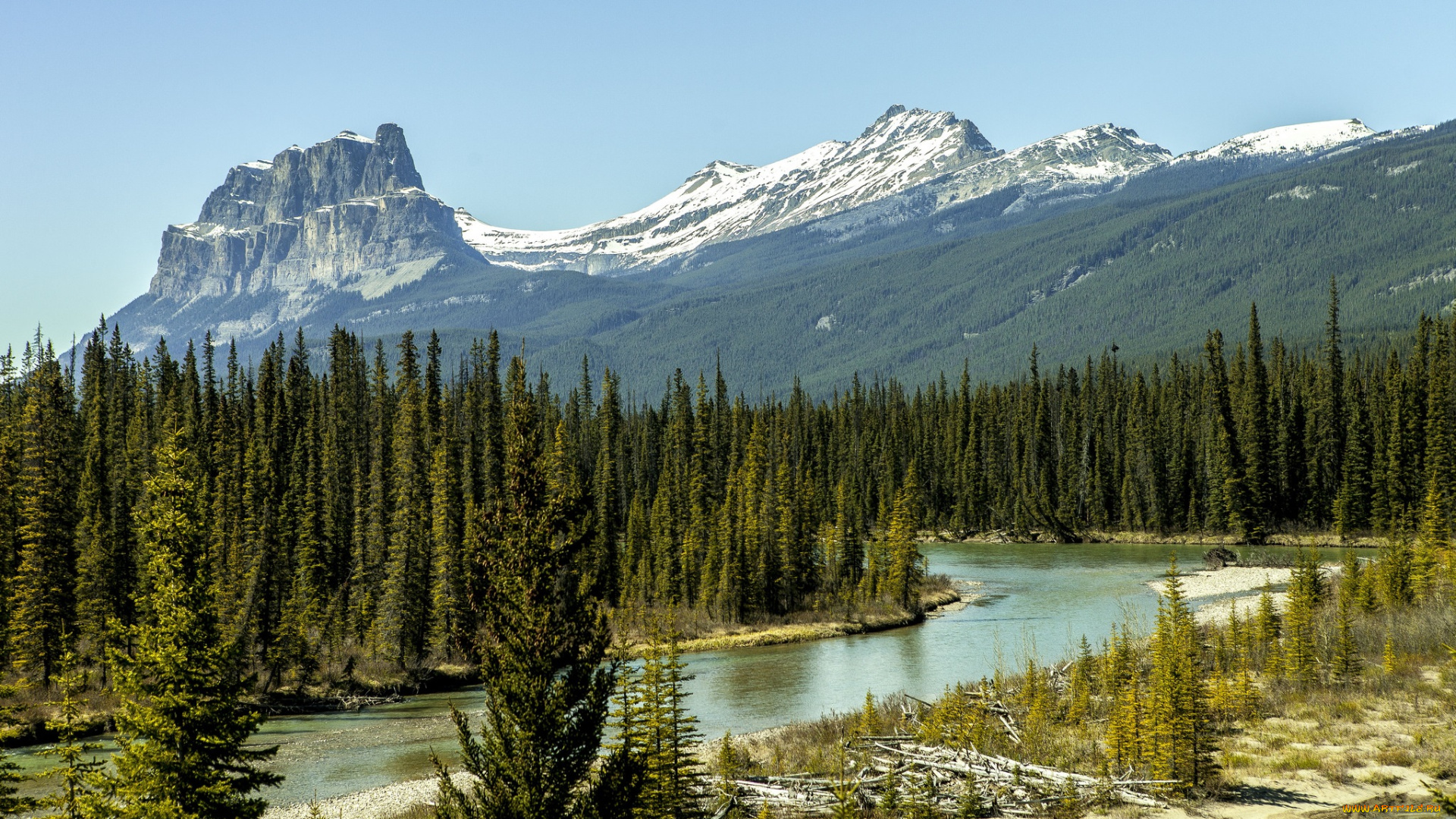 природа, реки, озера, река, лес