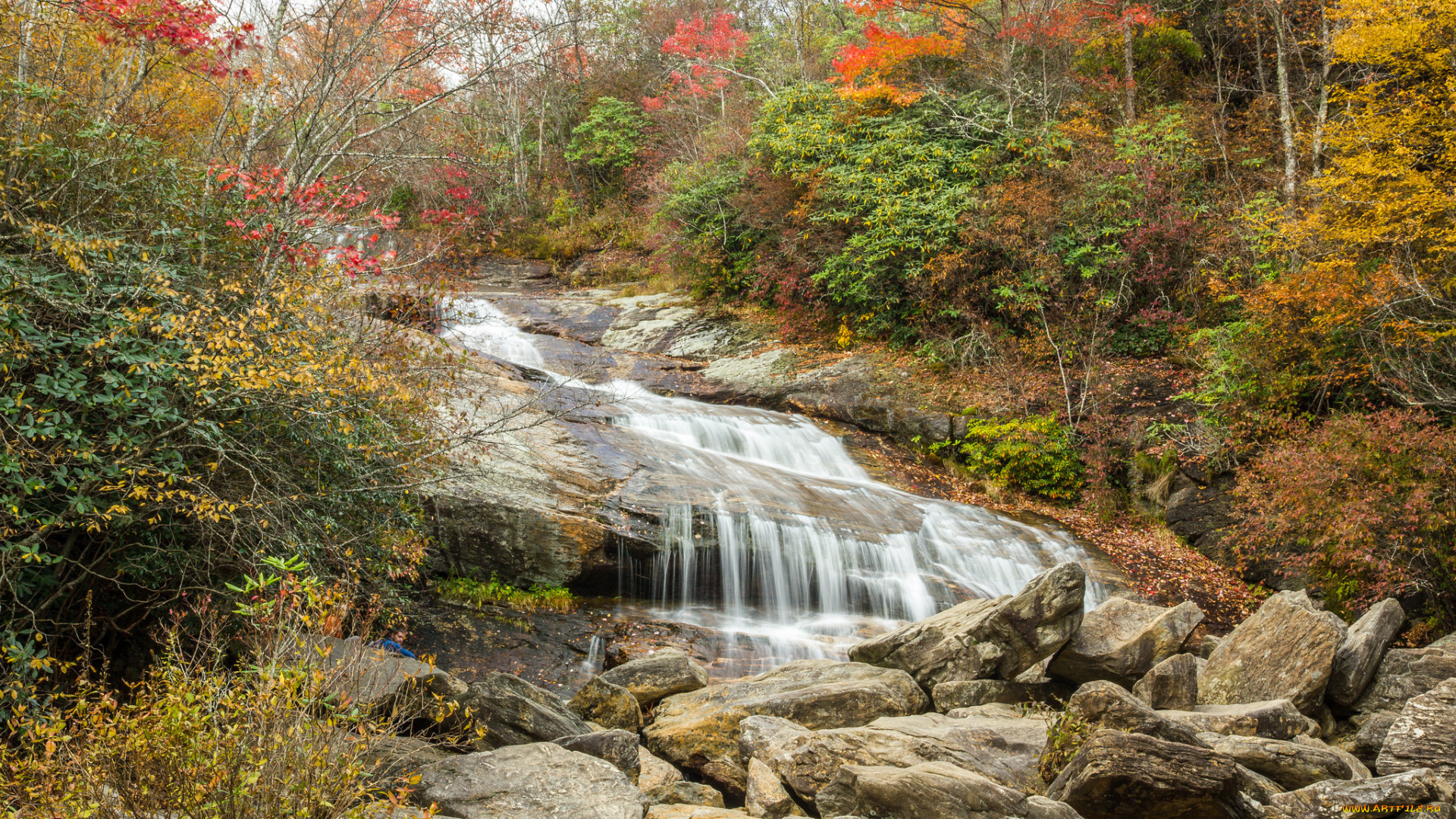 природа, реки, озера, река, лес