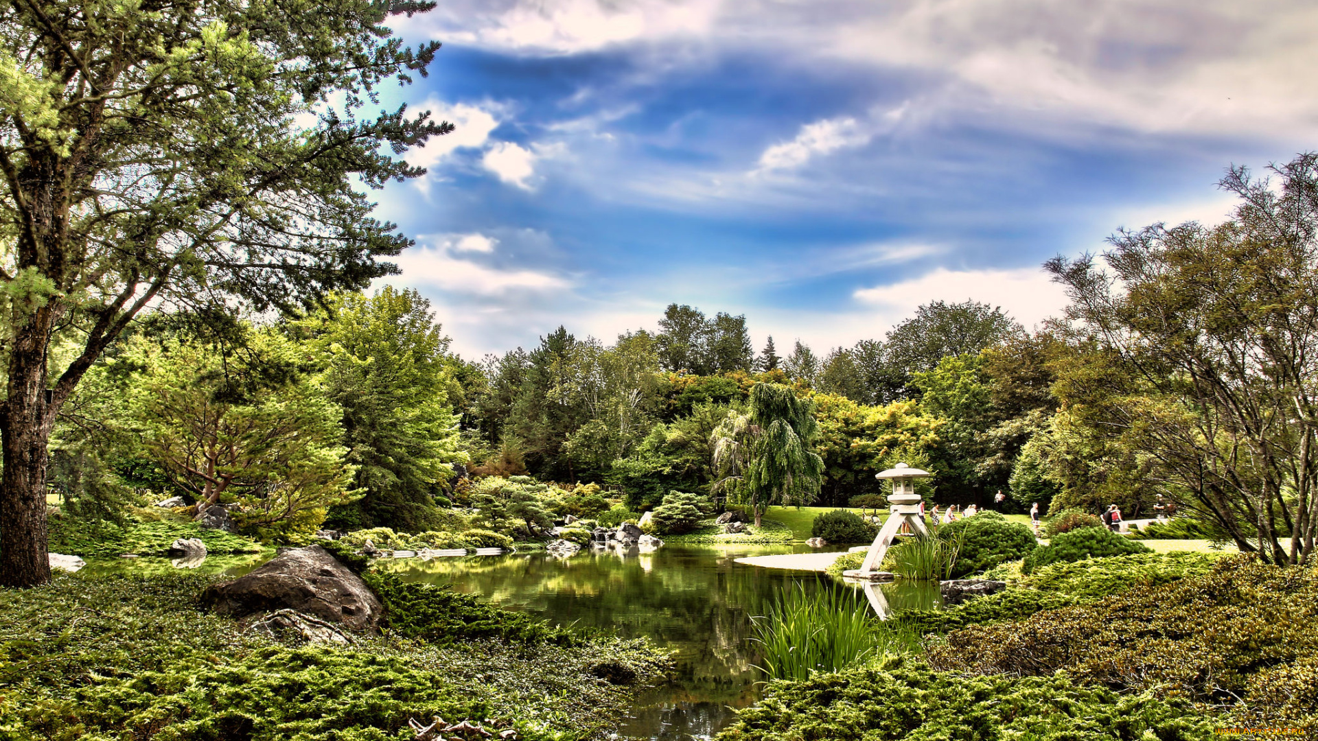 природа, реки, озера, река, лес