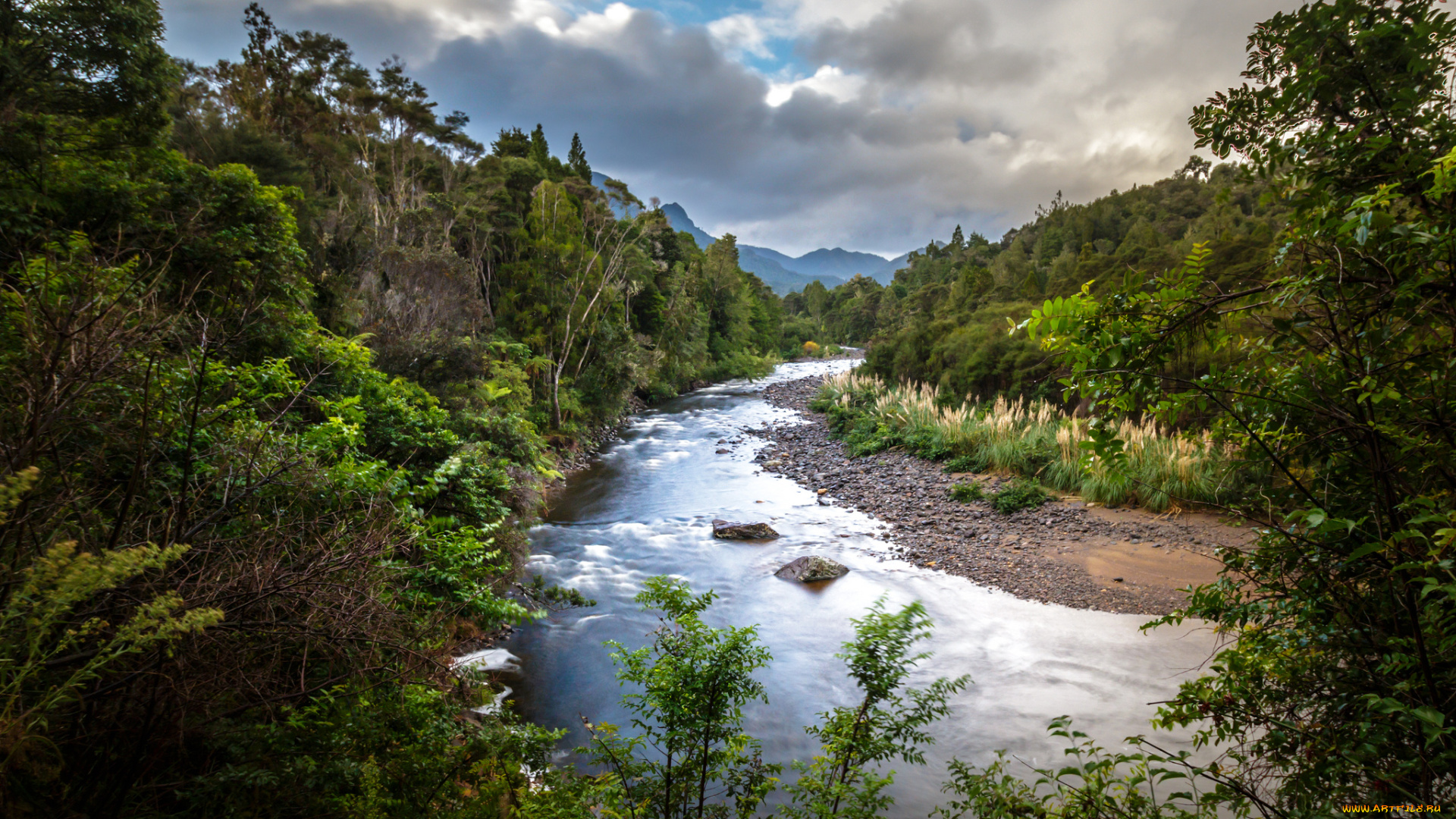 природа, реки, озера, река, лес, горы