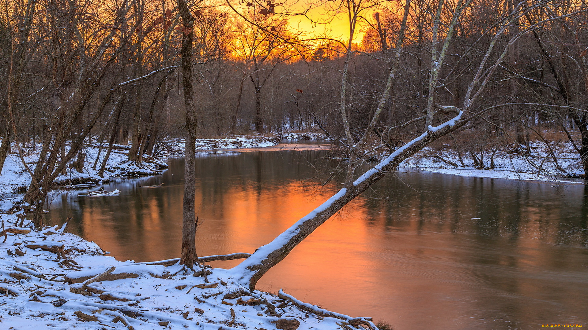 природа, реки, озера, река, лес, зима, закат