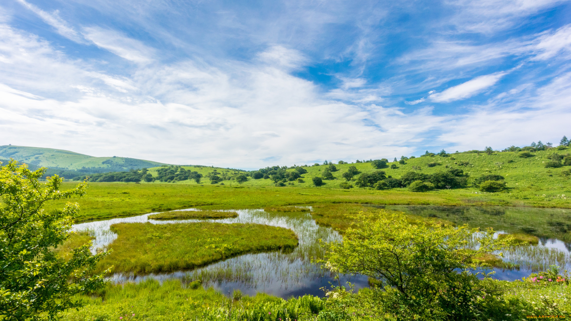 природа, реки, озера, трава, озеро