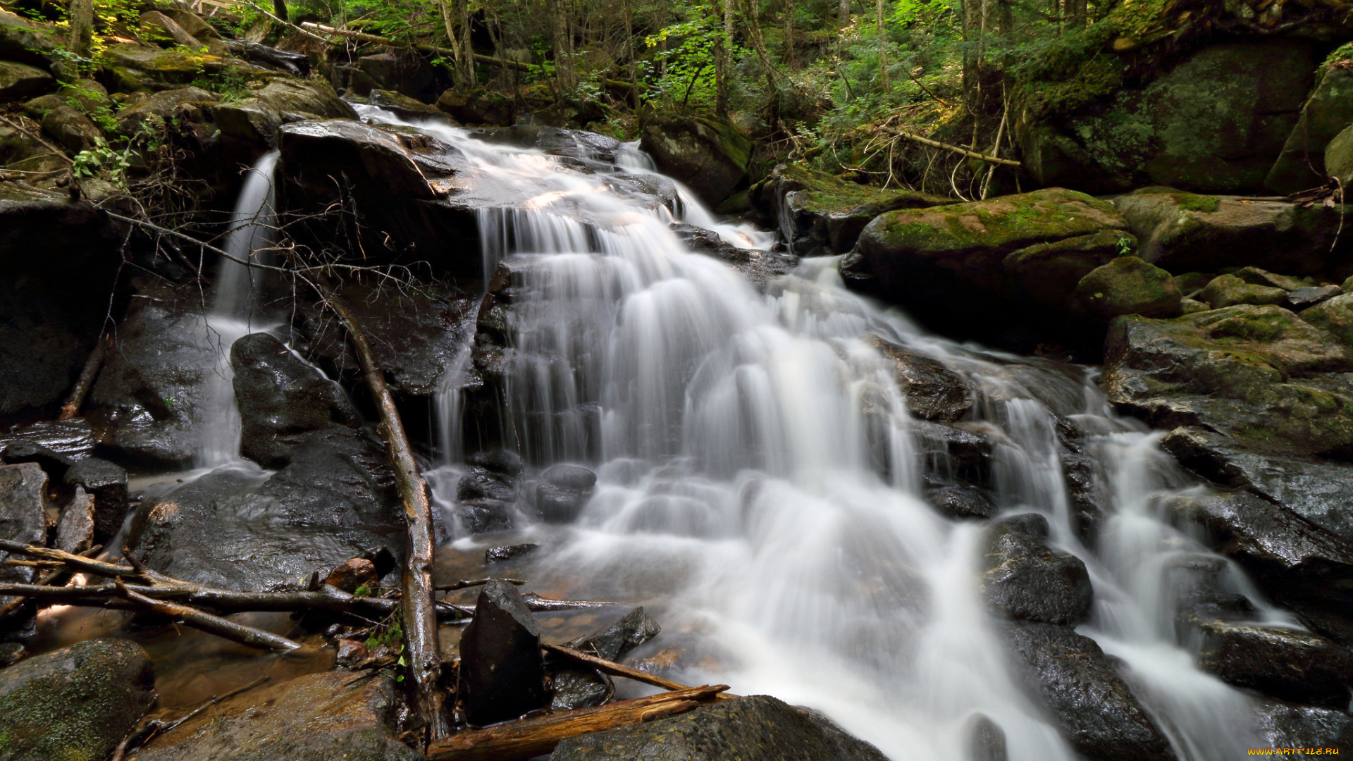 природа, водопады, лес, река, водопад
