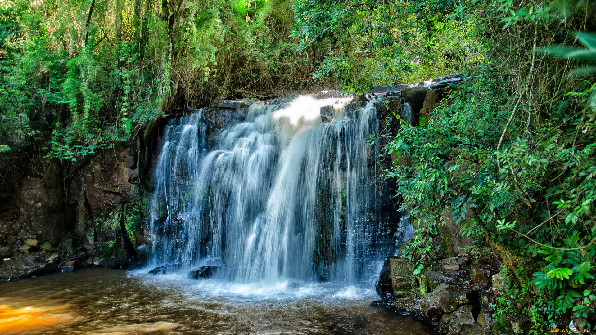 природа, водопады, лес, река, водопад