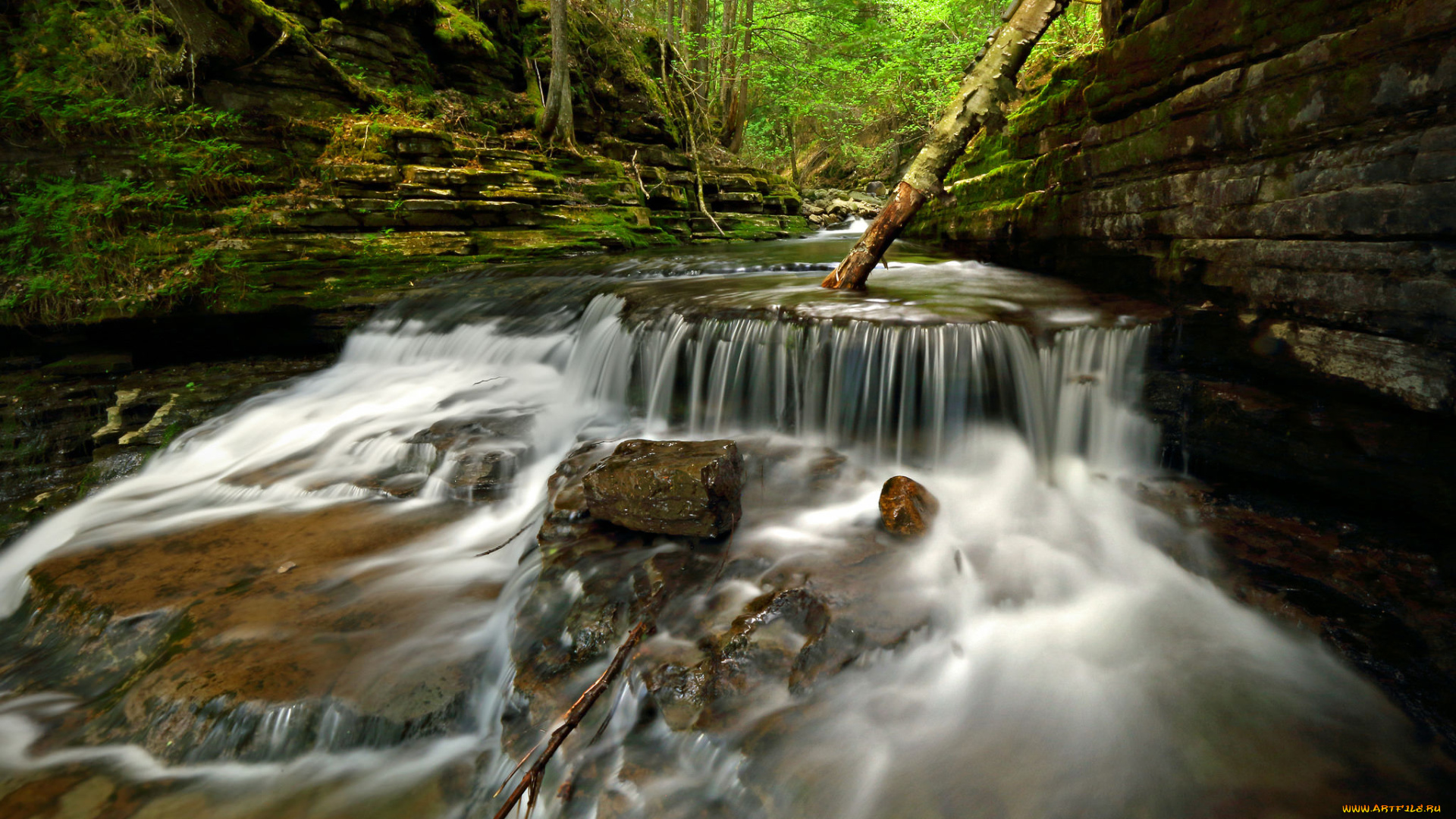 природа, водопады, лес, река, водопад