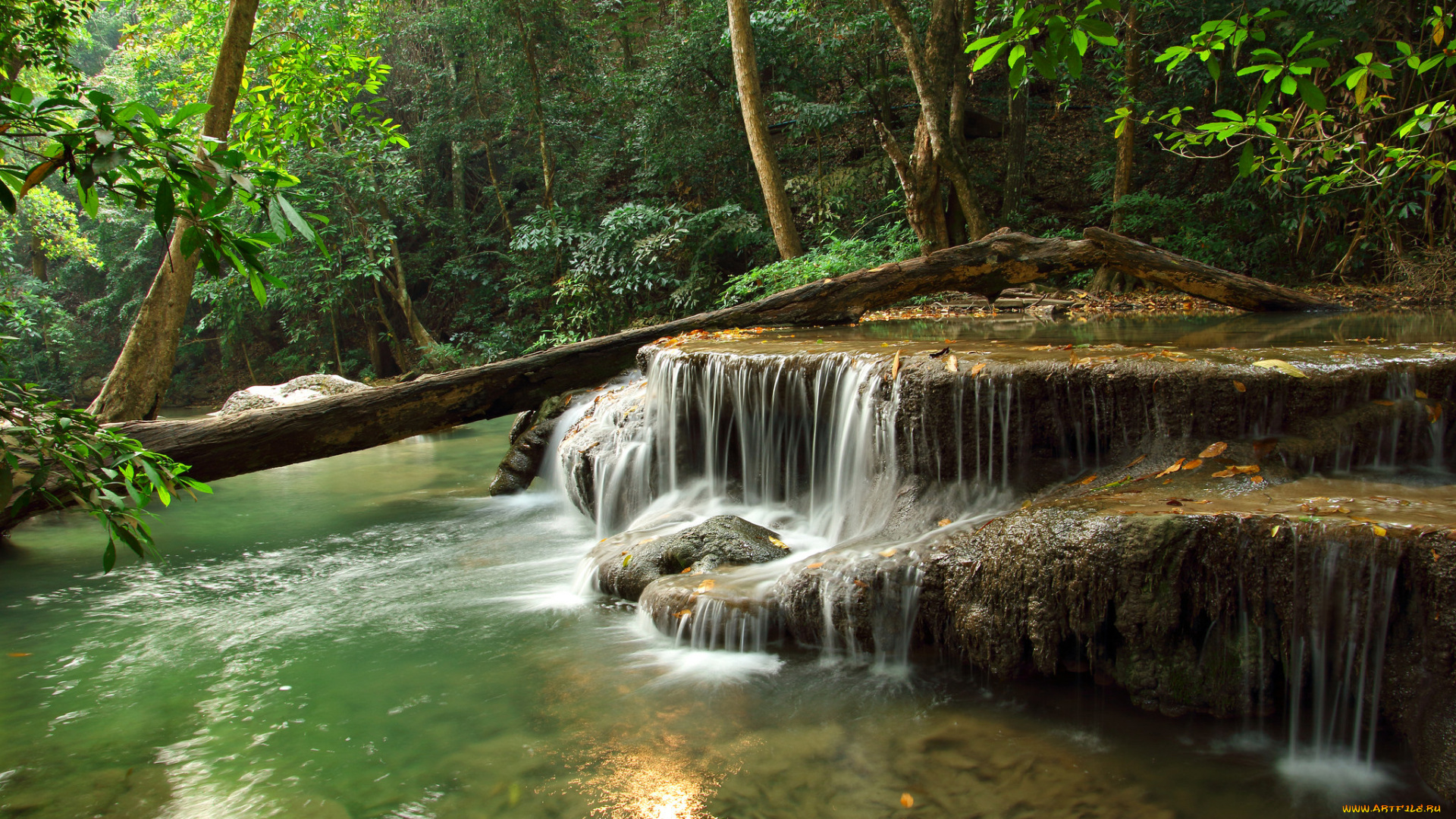 природа, водопады, лес, река, водопад