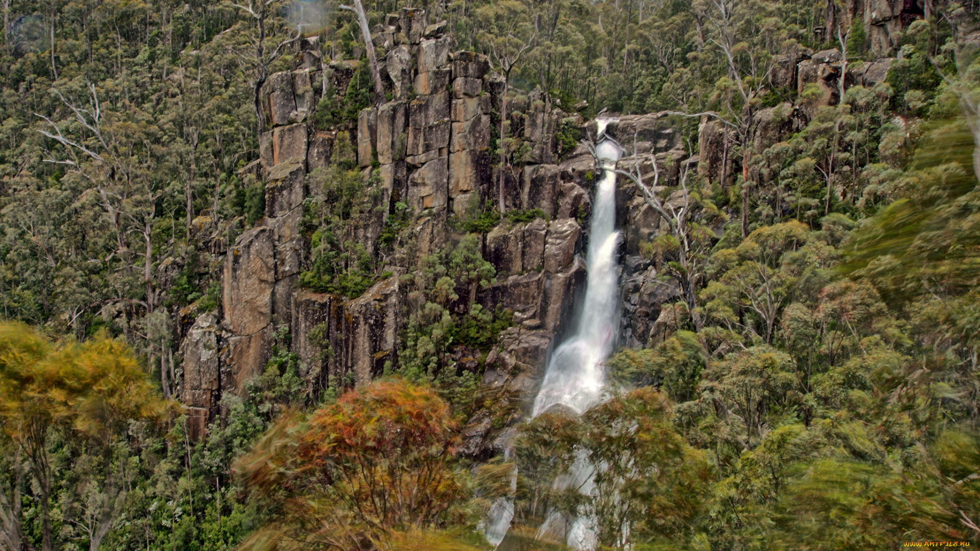 природа, водопады, лес, река, водопад