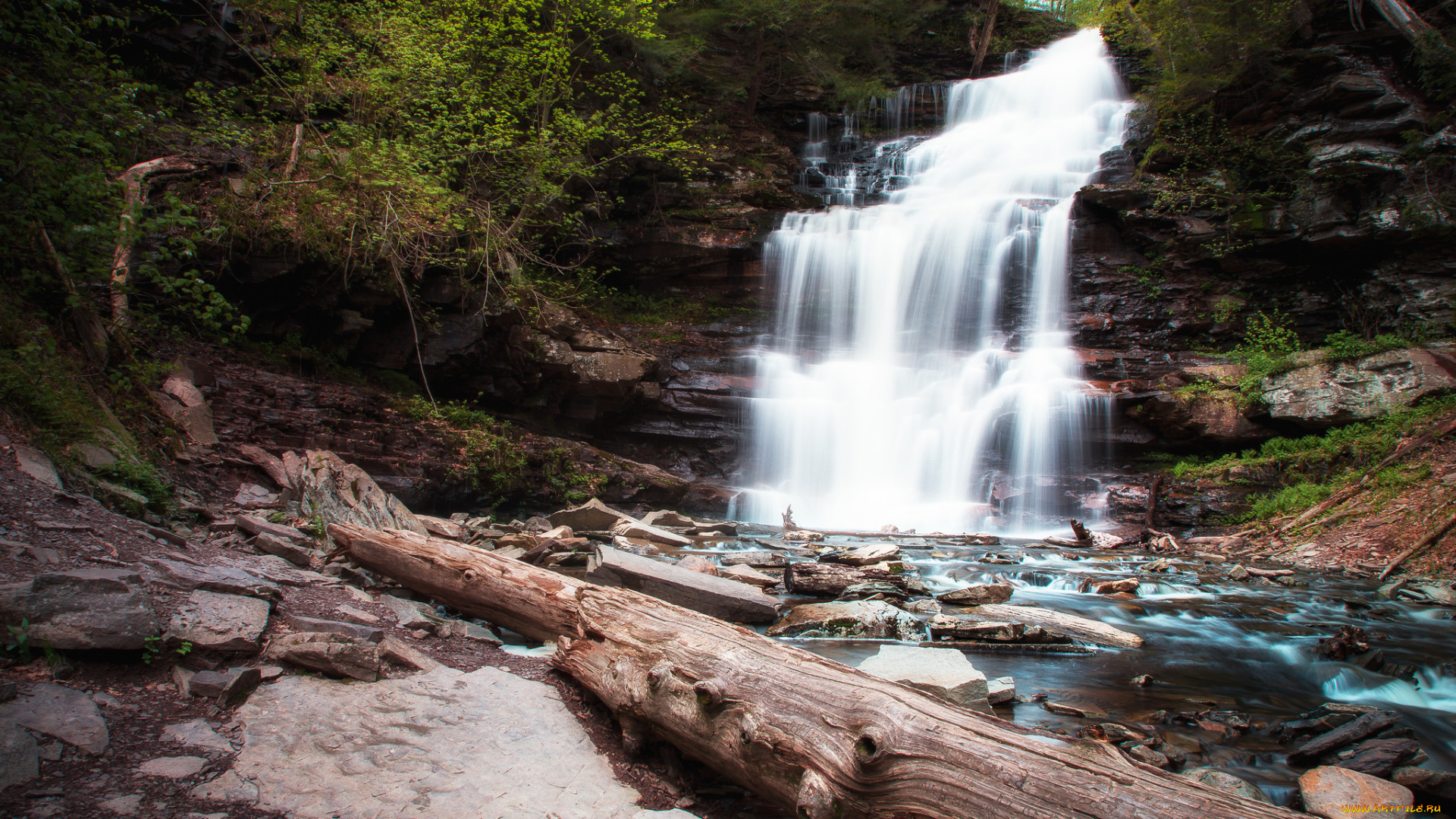 природа, водопады, лес, река, водопад