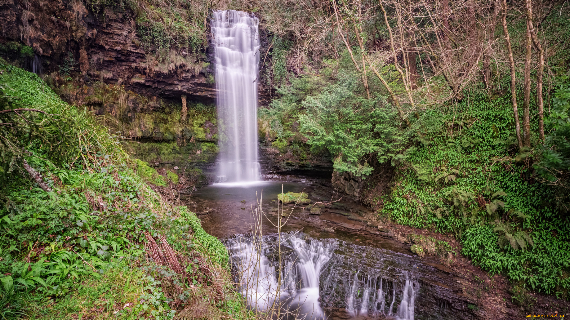 природа, водопады, лес, река, водопад