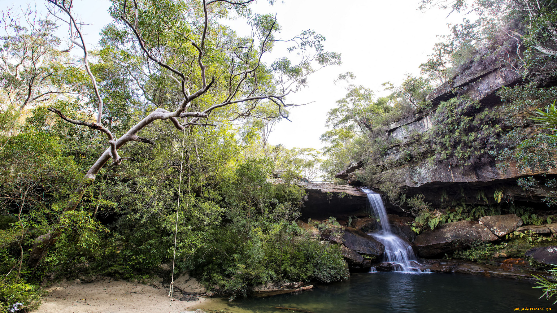 природа, водопады, водопад, река, лес