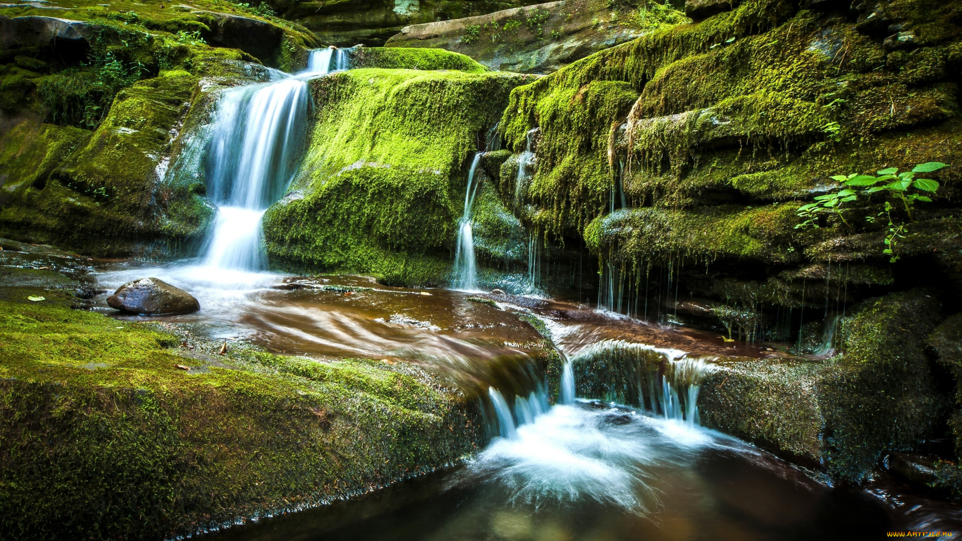 природа, водопады, водопад, томпкинс, new, york, мох, andes, tompkins, falls, эндс, штат, нью-йорк, каскад, камни