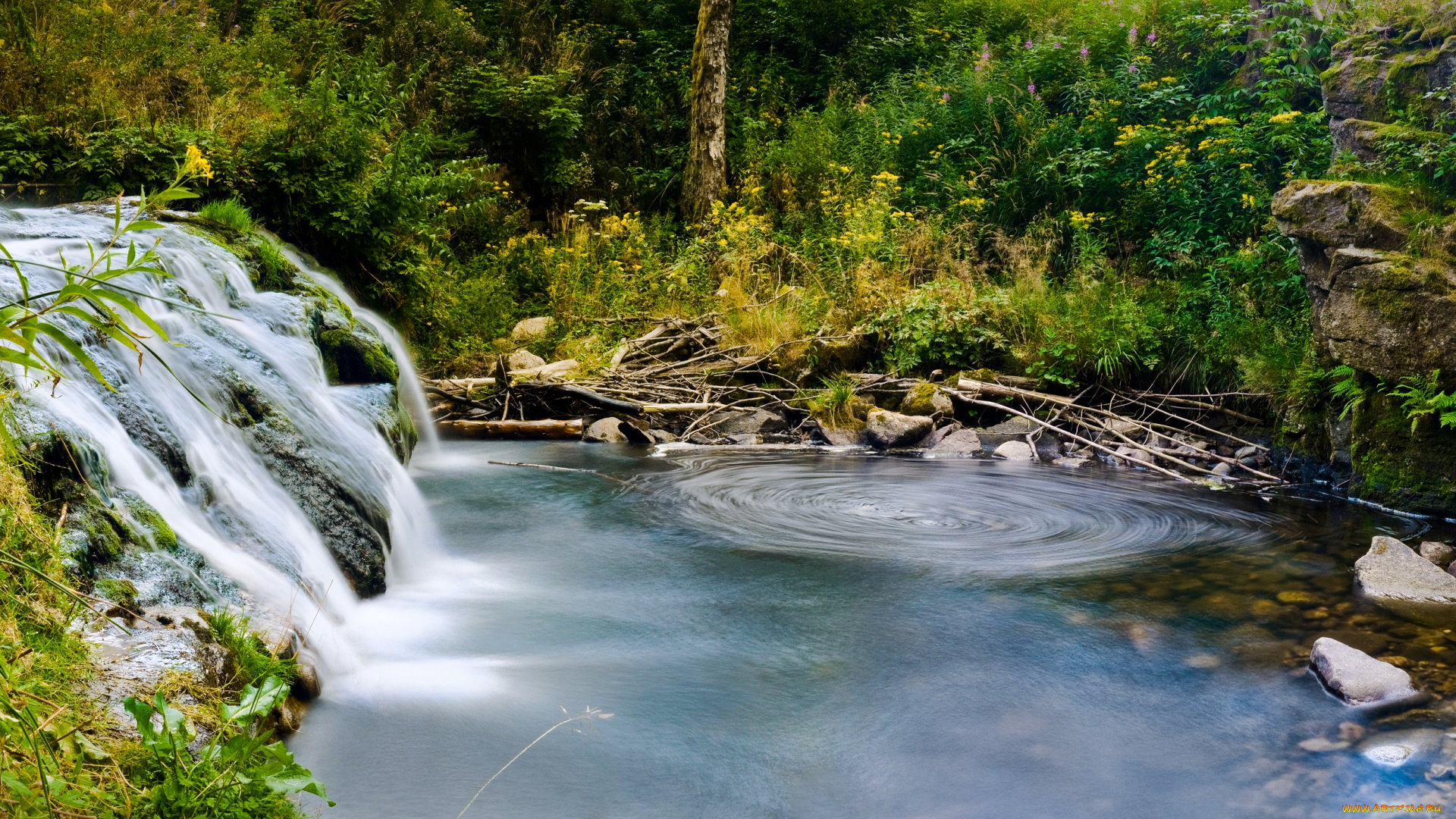природа, водопады, водоворот, лес, река, водопад
